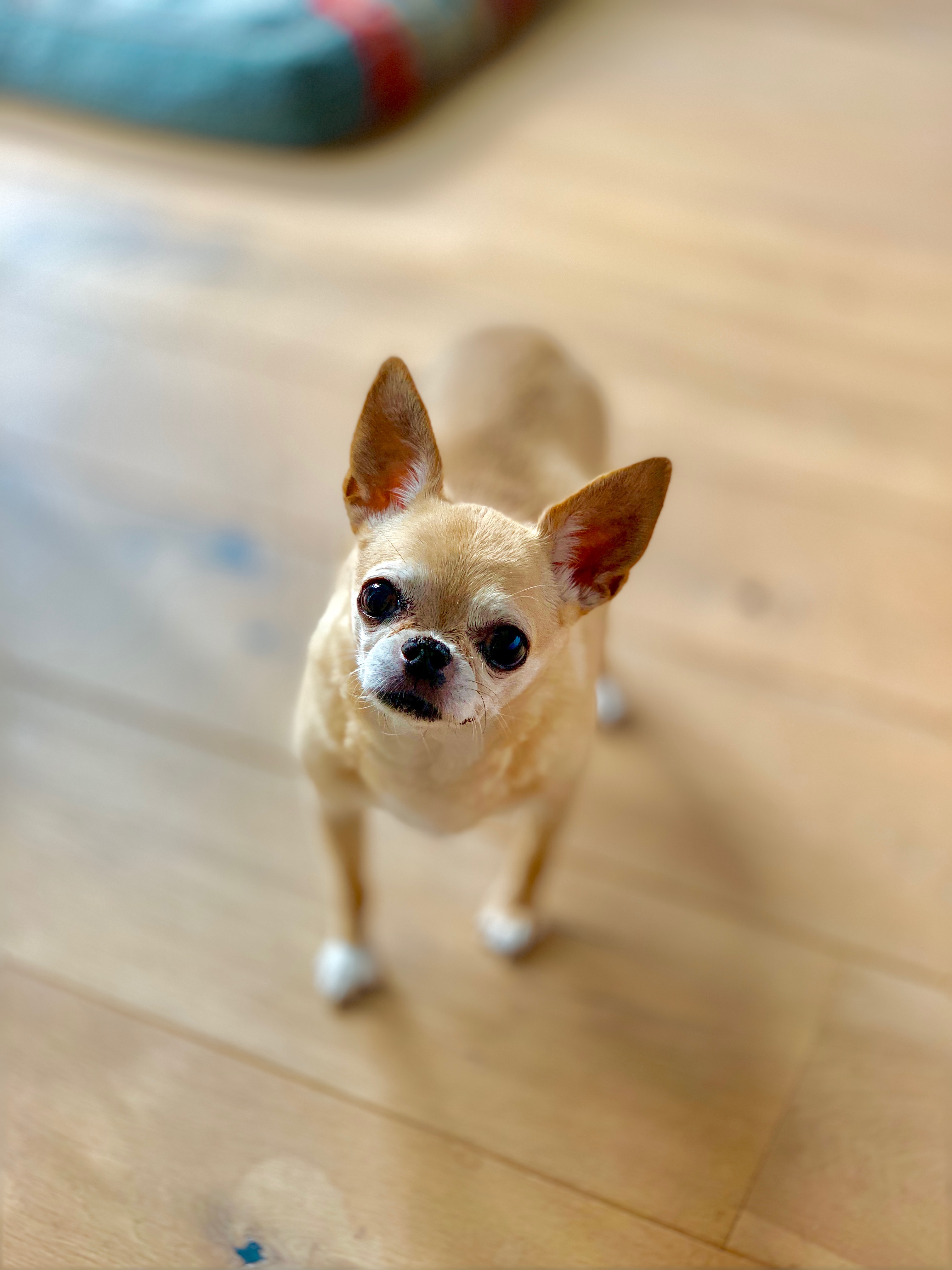 IMG_0003.jpeg