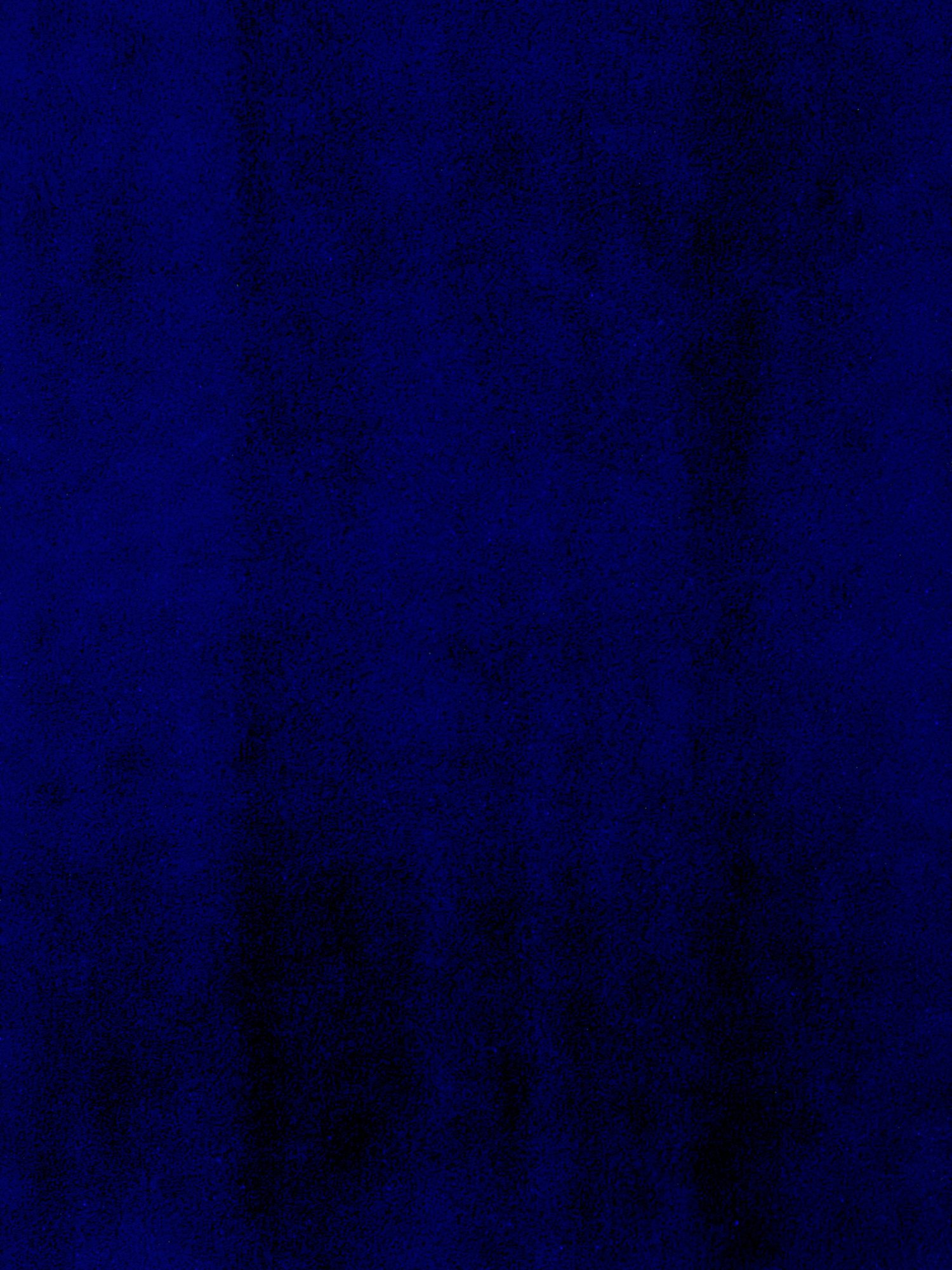IMG_0025.jpeg