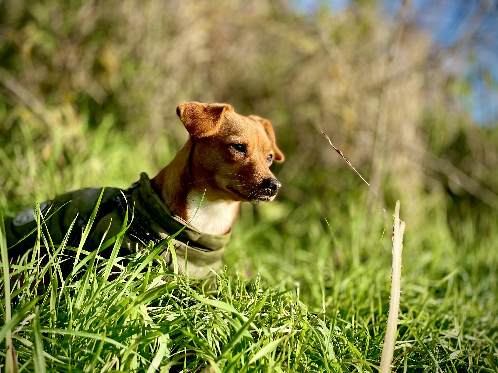 IMG_0051.jpeg