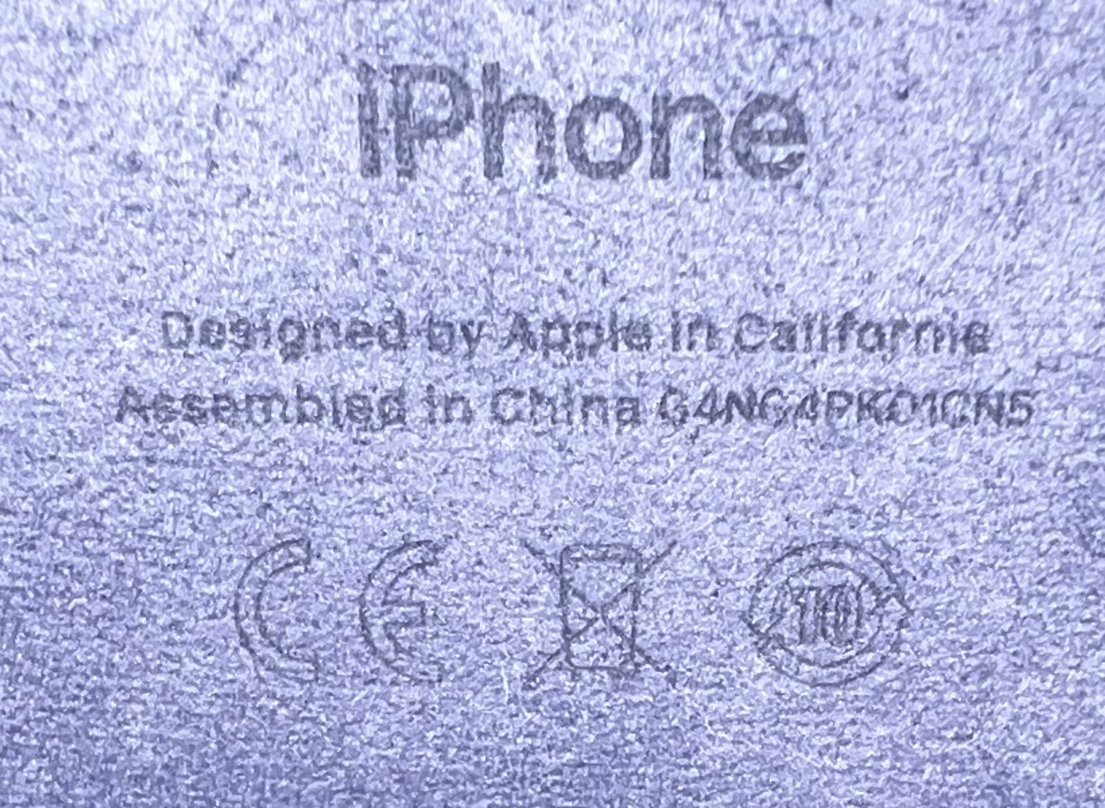 IMG_0061 copy.png