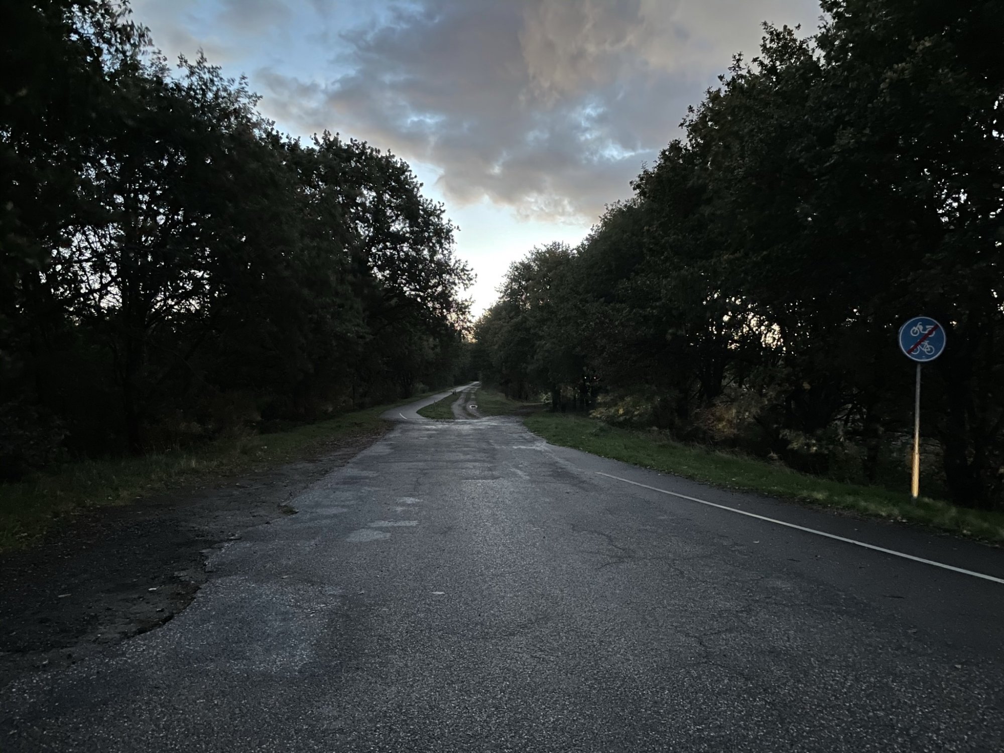 IMG_0070.jpeg
