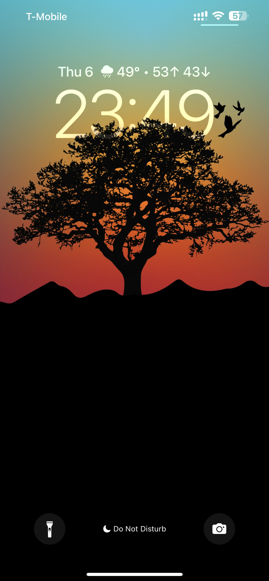 IMG_0095.PNG