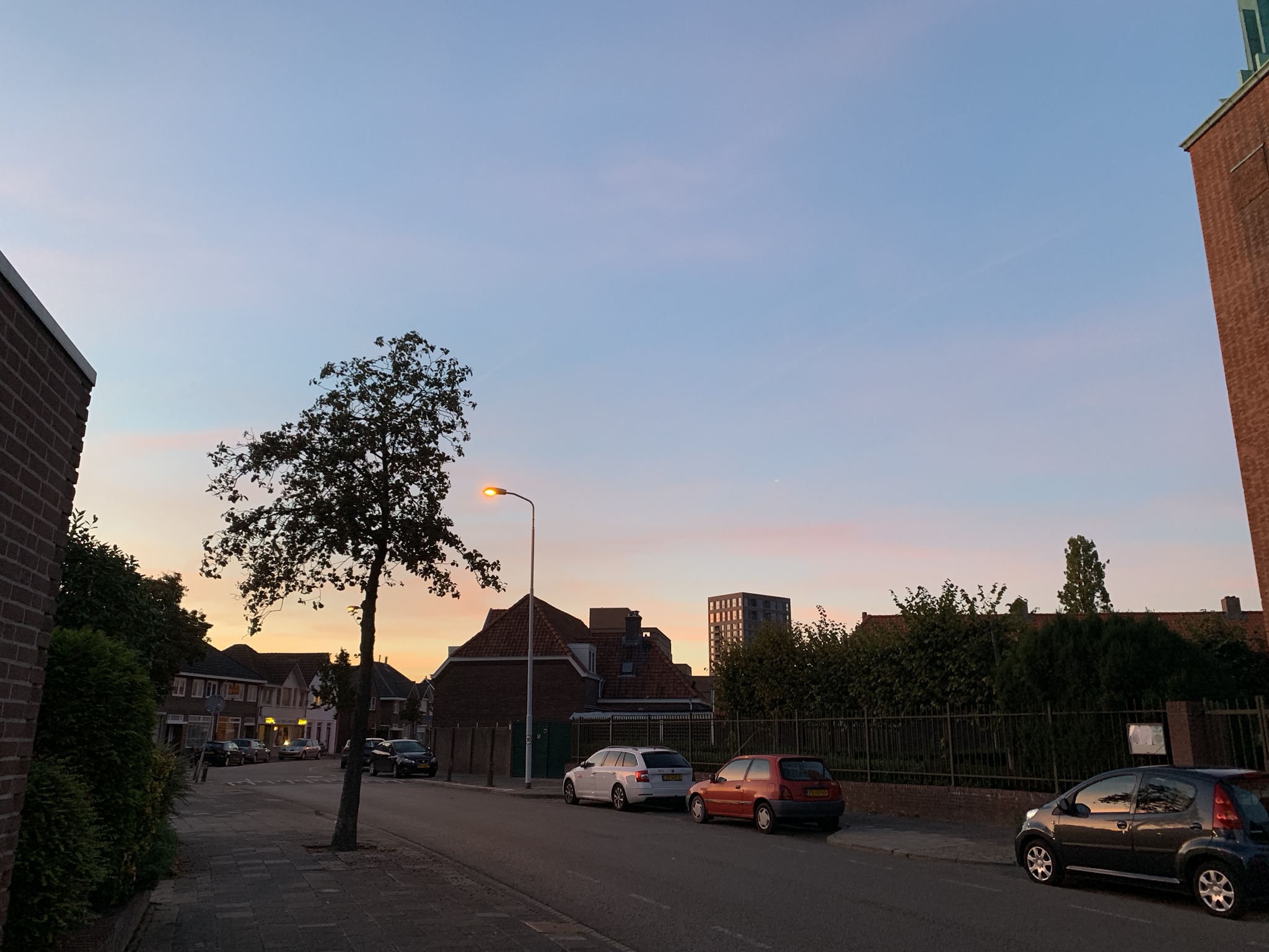 IMG_0099.jpeg