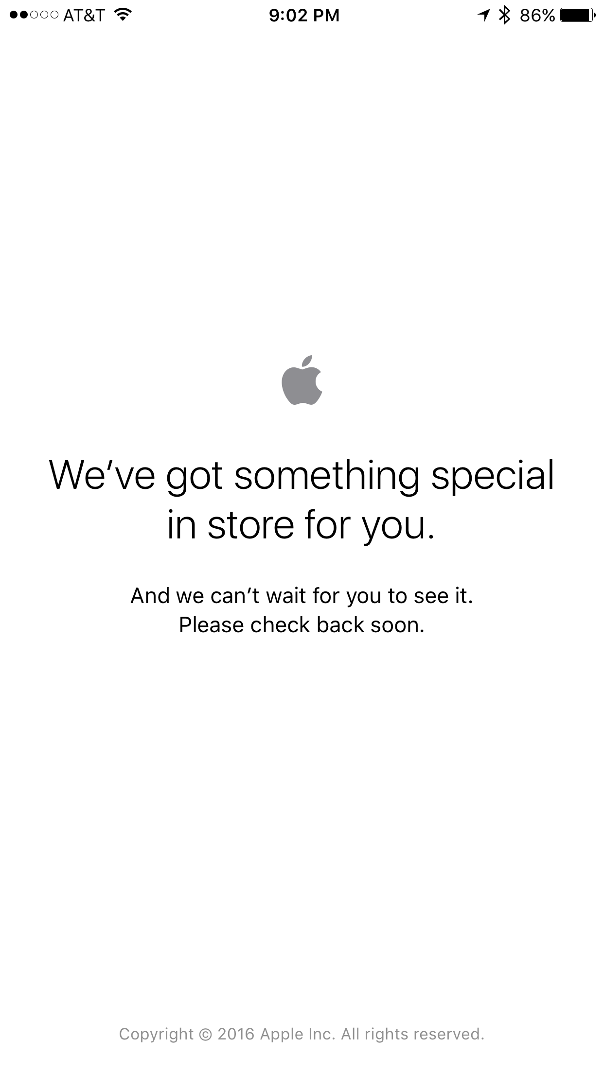 IMG_0116.PNG
