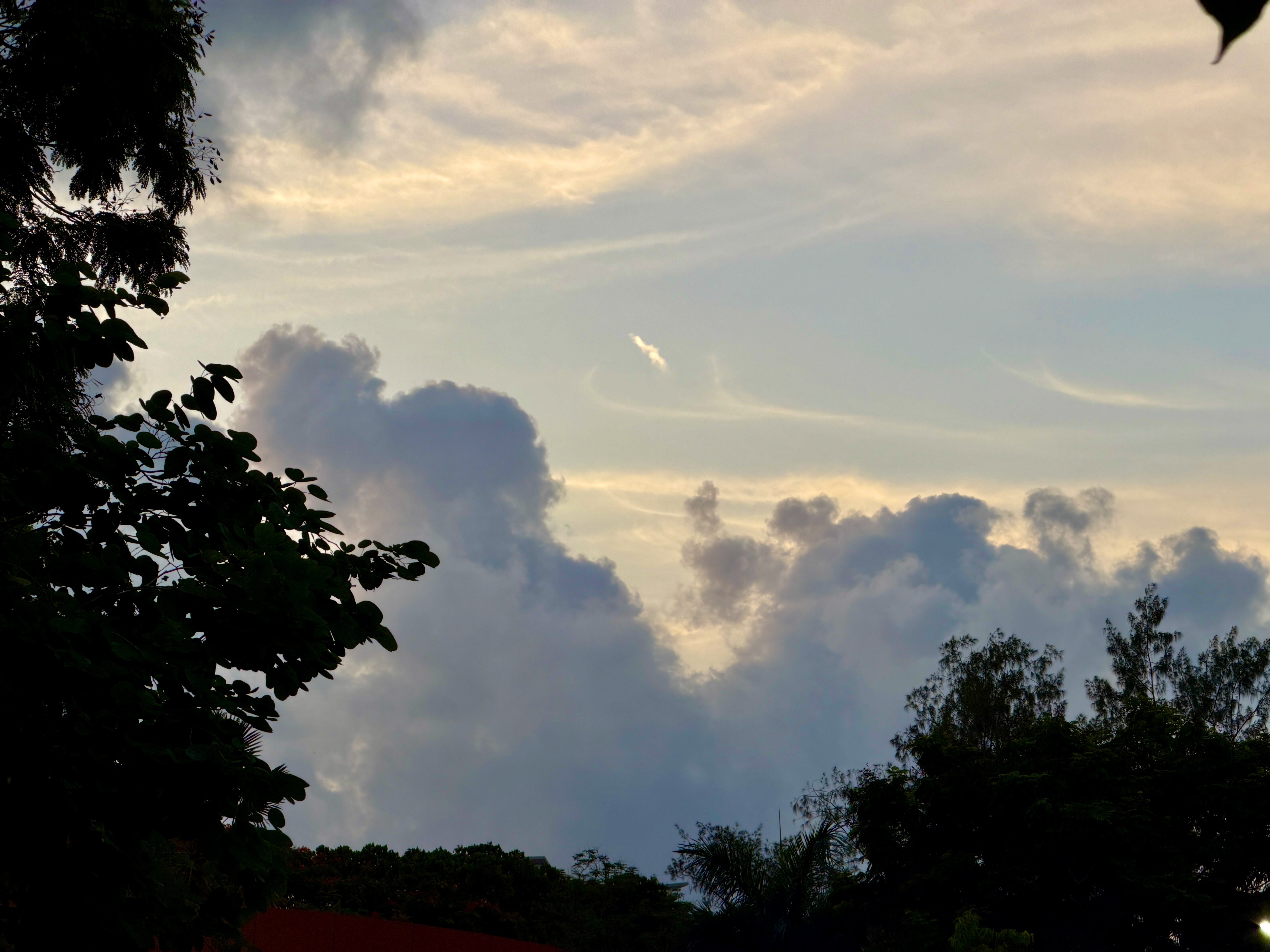 IMG_0128.jpeg
