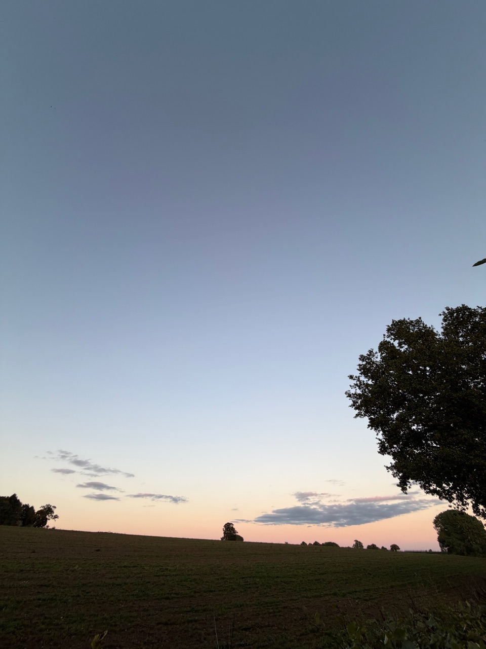 IMG_0137.jpeg