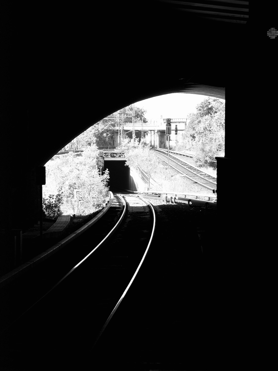 IMG_0174.jpeg