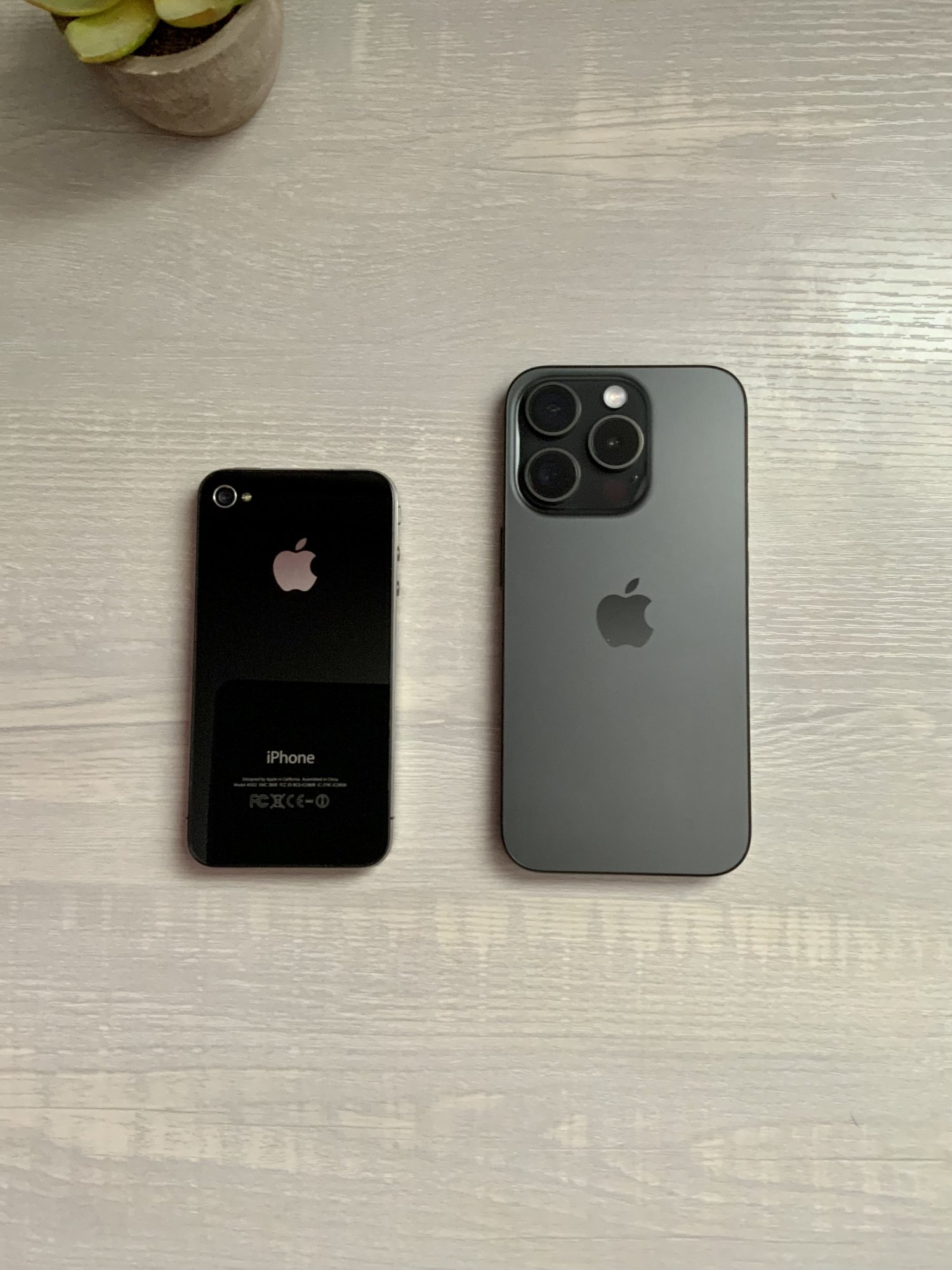 IMG_0185.jpeg