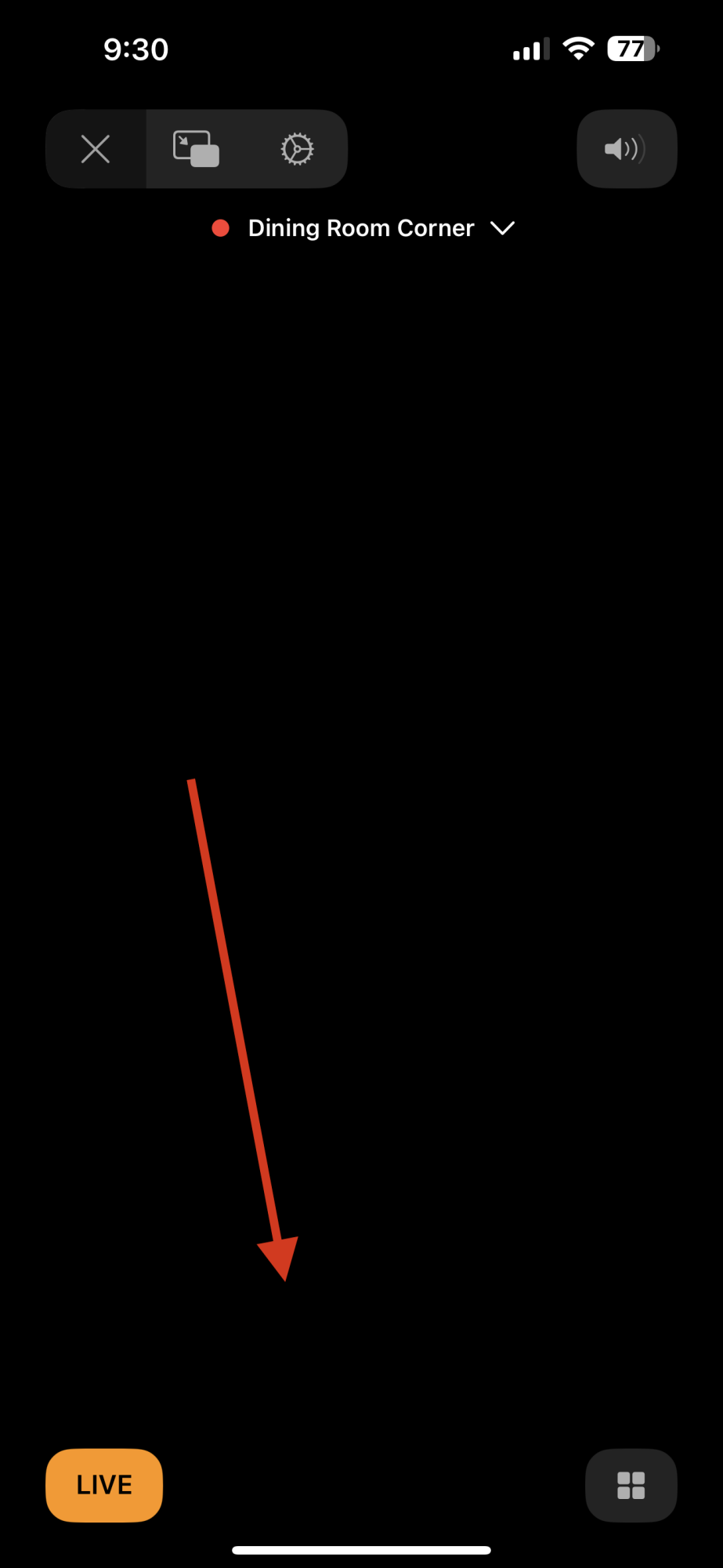 IMG_0201.PNG