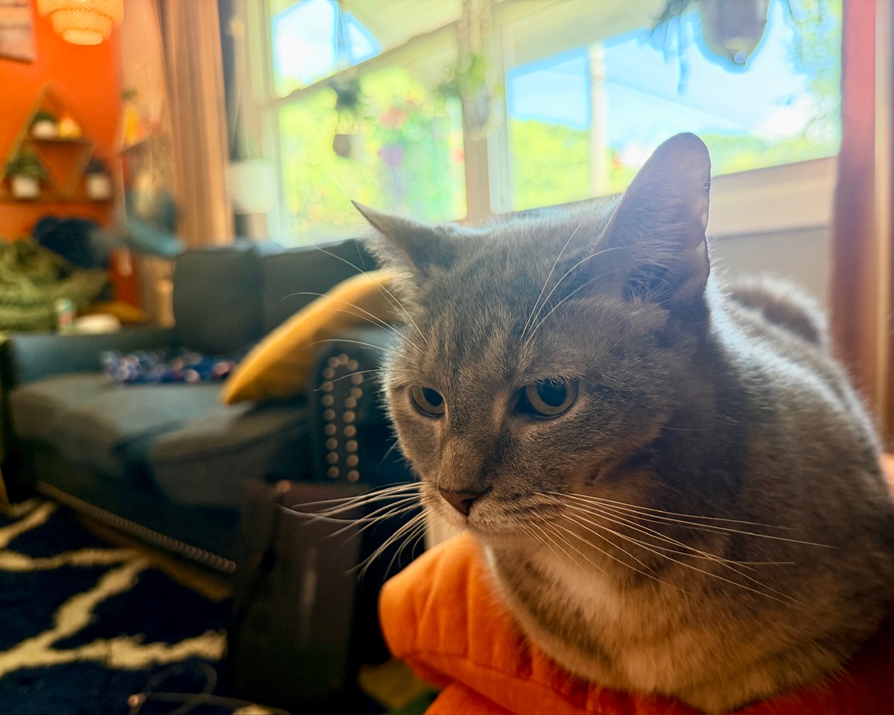 IMG_0202.jpeg