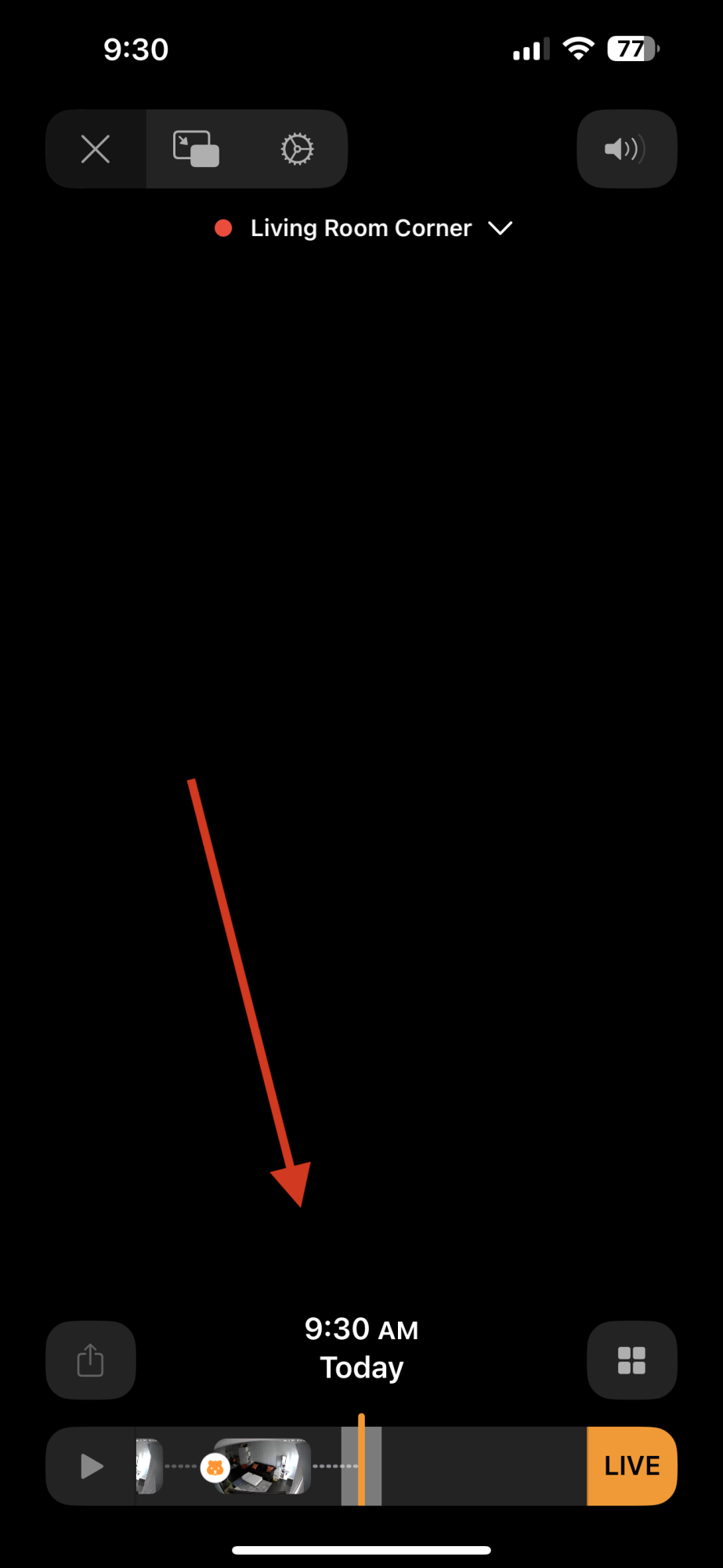IMG_0202.PNG