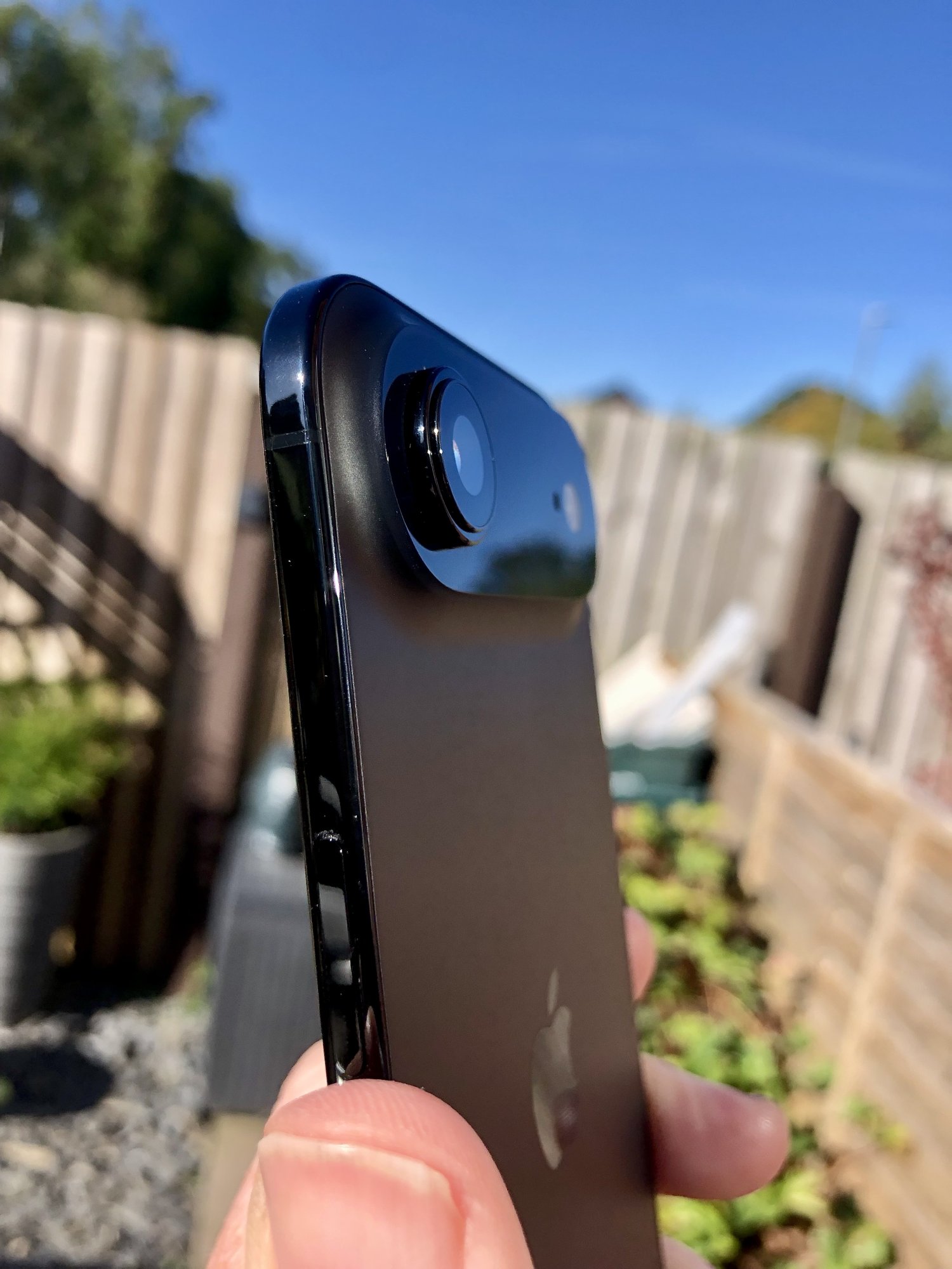 IMG_0203.jpeg