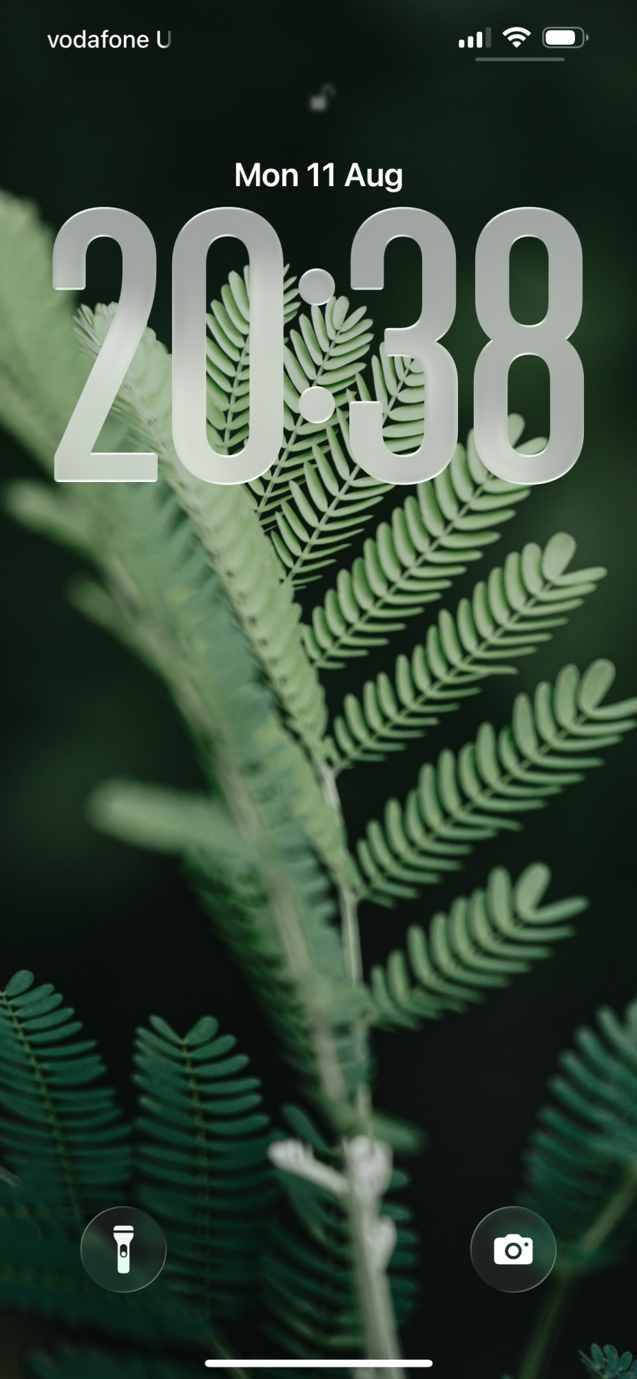 IMG_0208.png