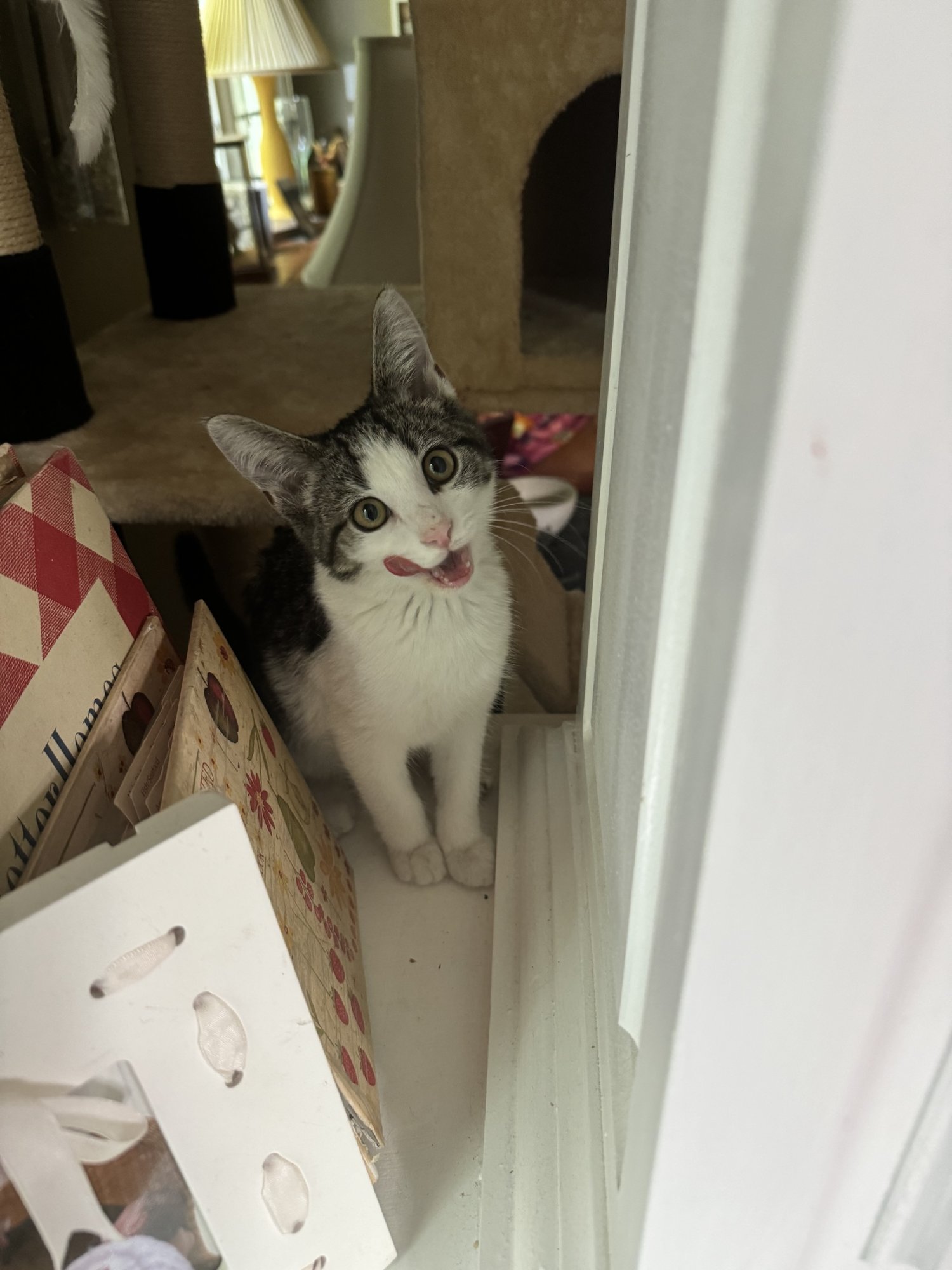 IMG_0228.jpeg