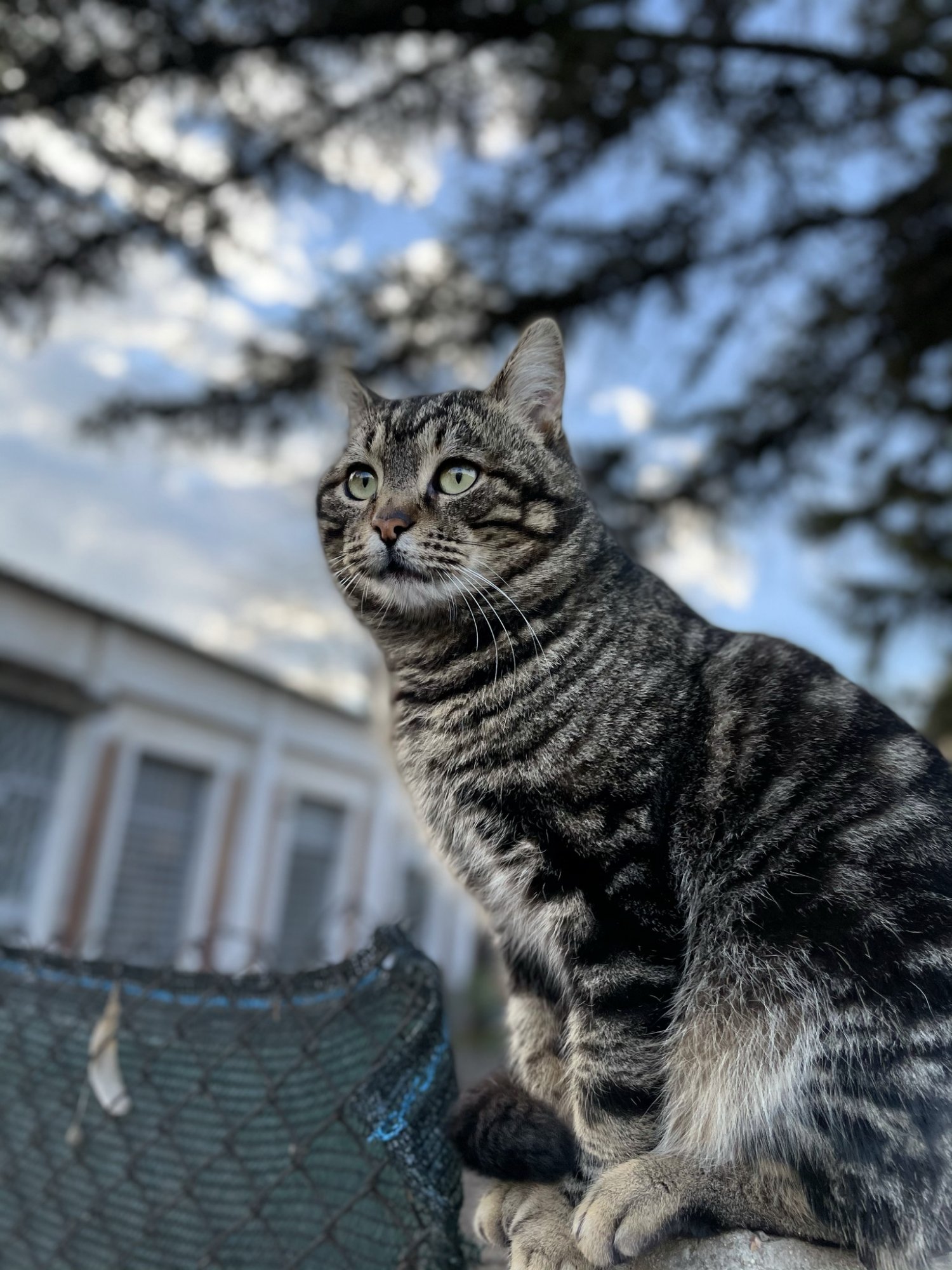 IMG_0248.jpeg