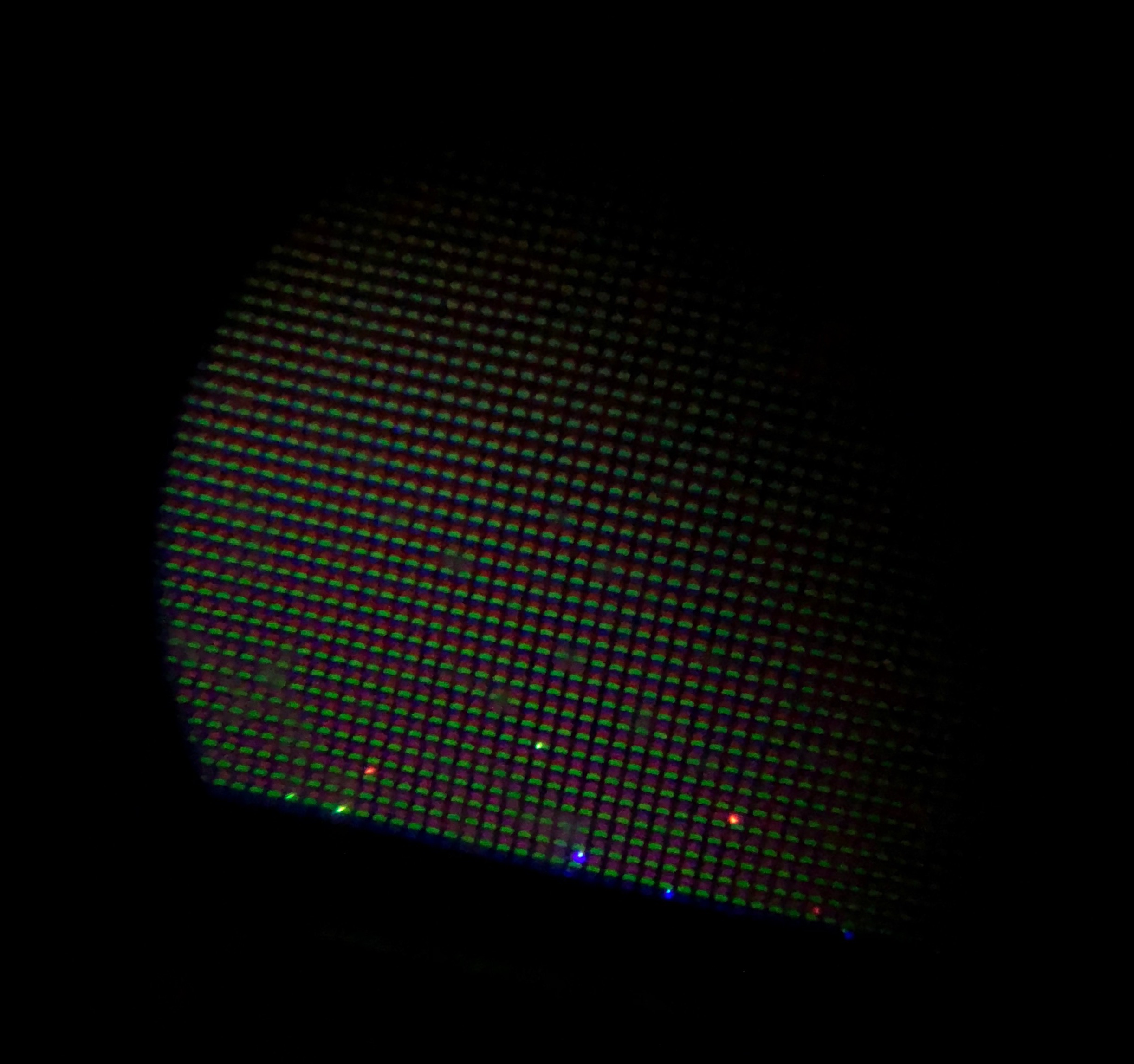IMG_0250.jpeg