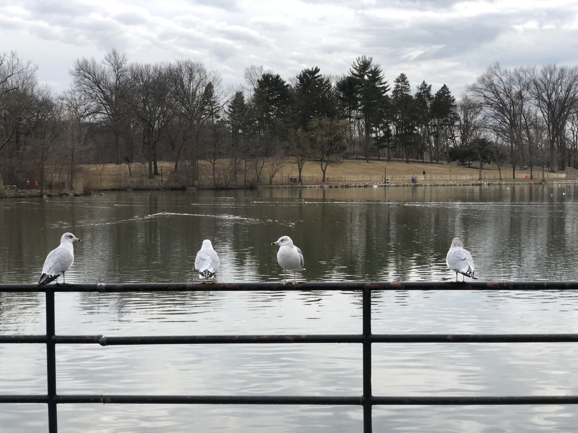 IMG_0288.jpeg