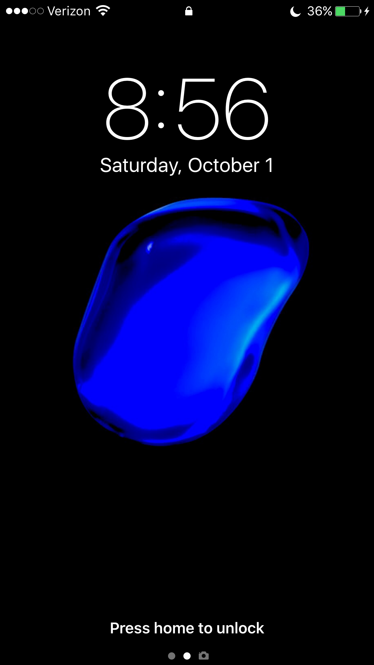 IMG_0323.PNG