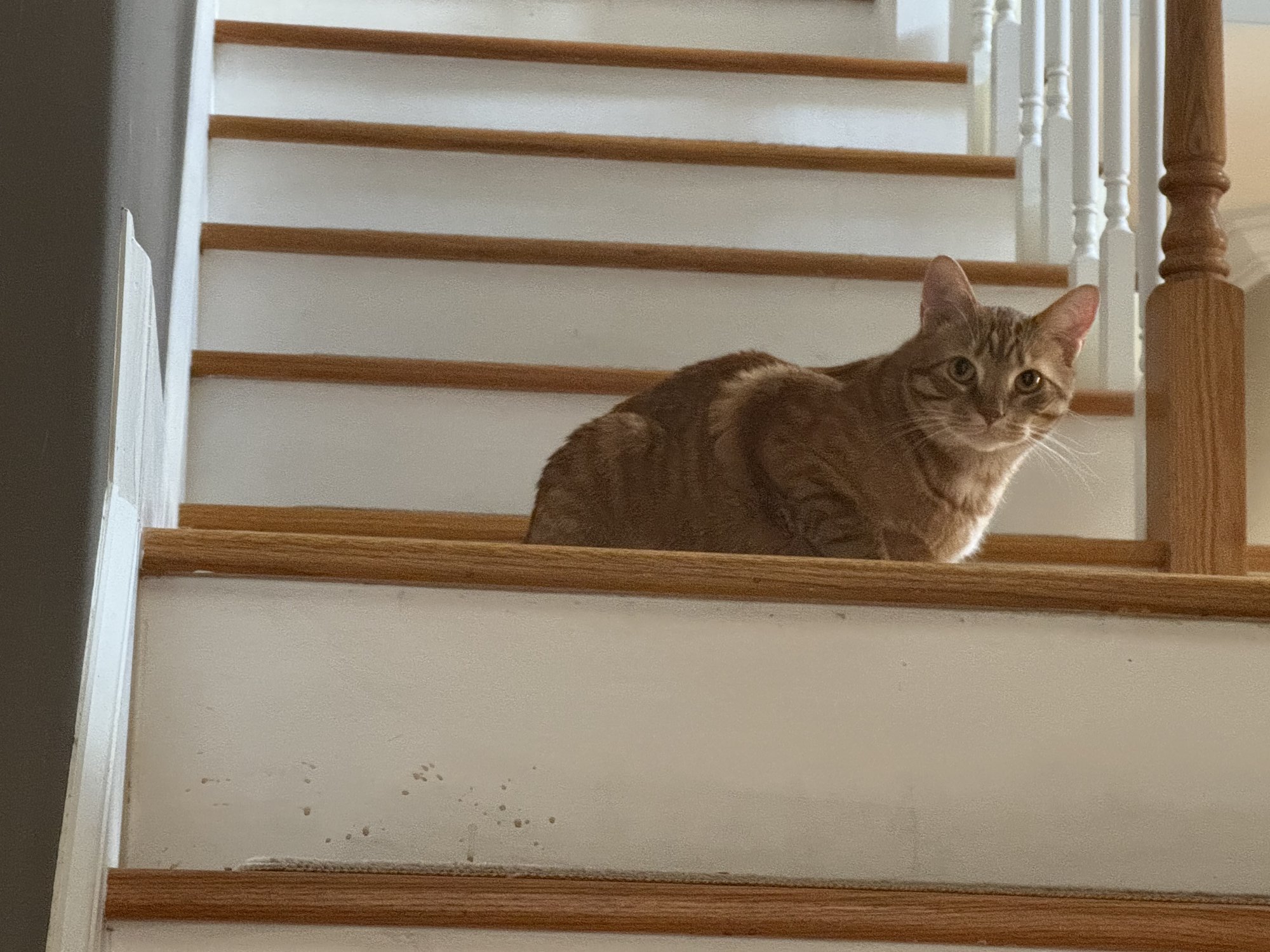 IMG_0324.jpeg