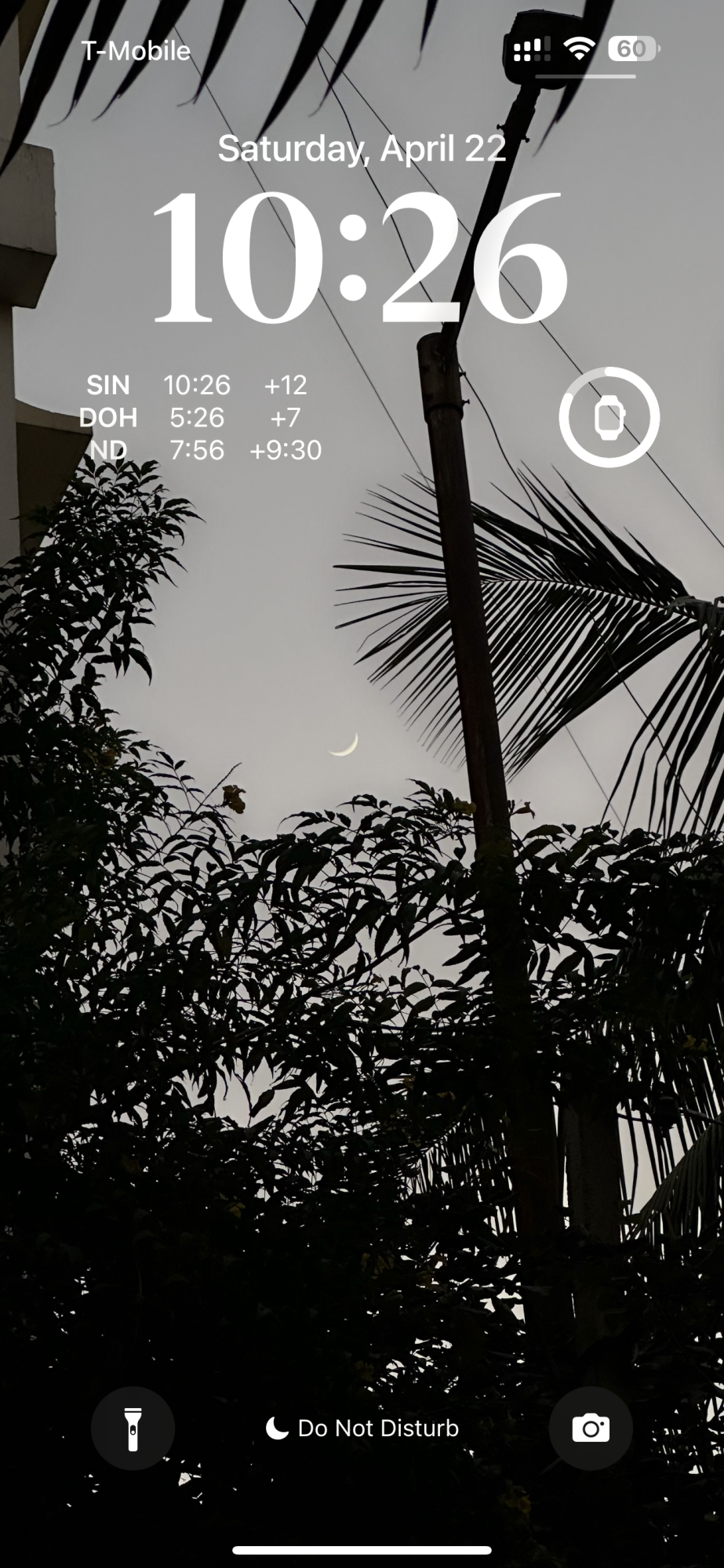 IMG_0326.png