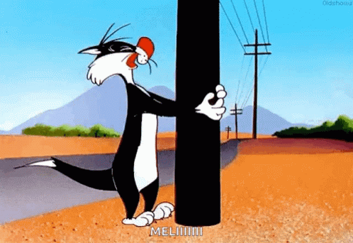 IMG_0351.gif