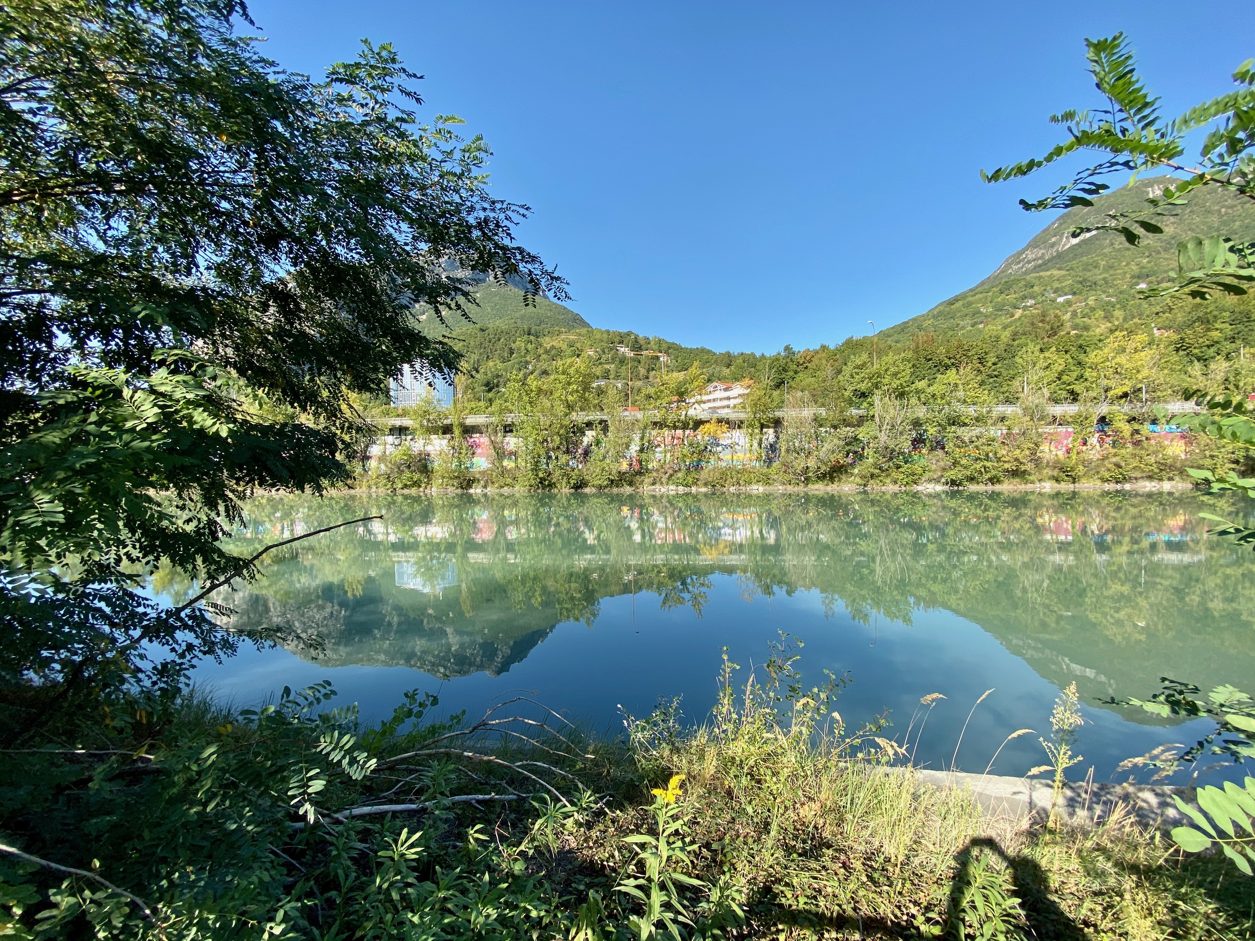 IMG_0378.jpeg