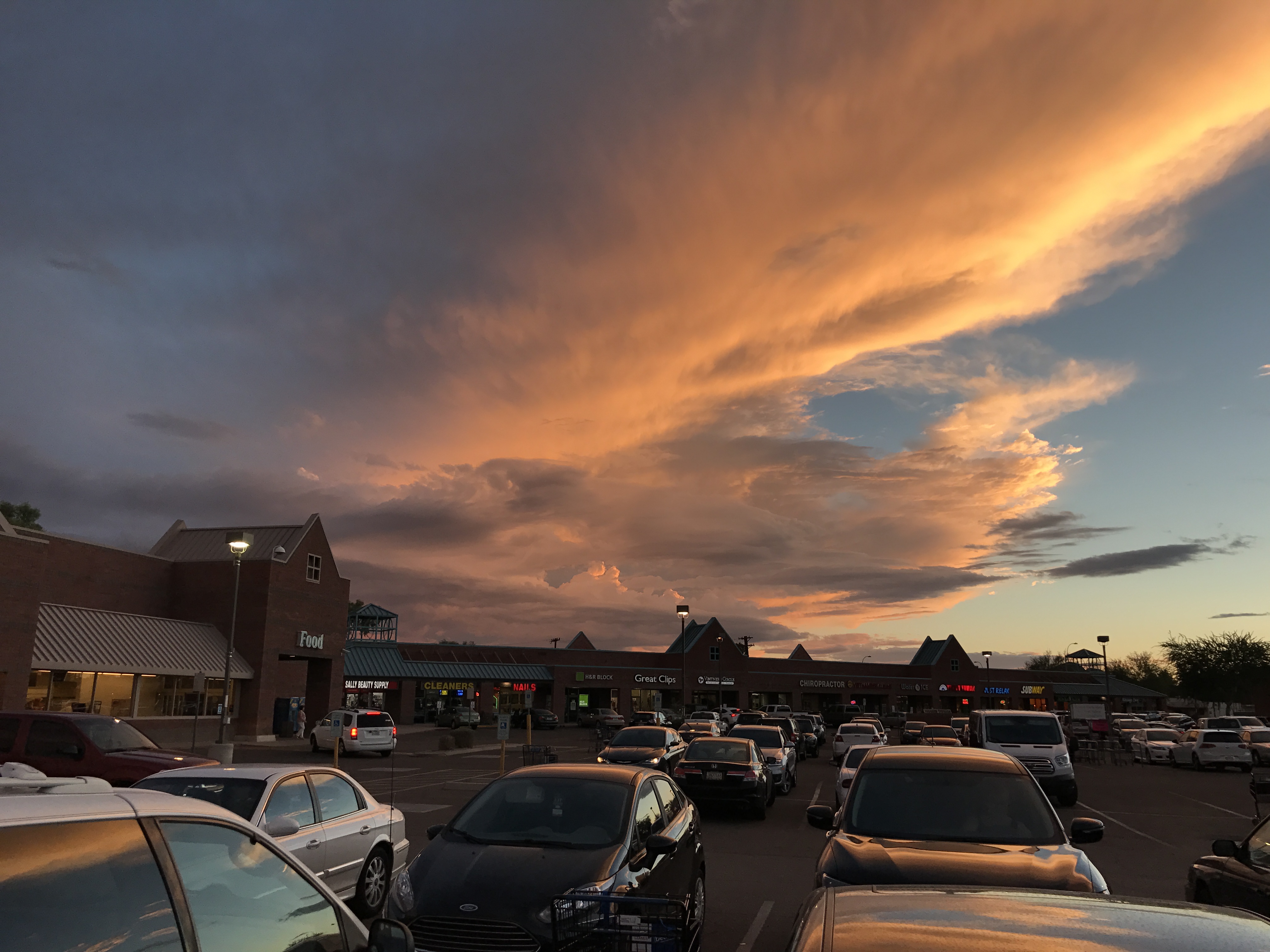 iphone 7 plus photography page 25