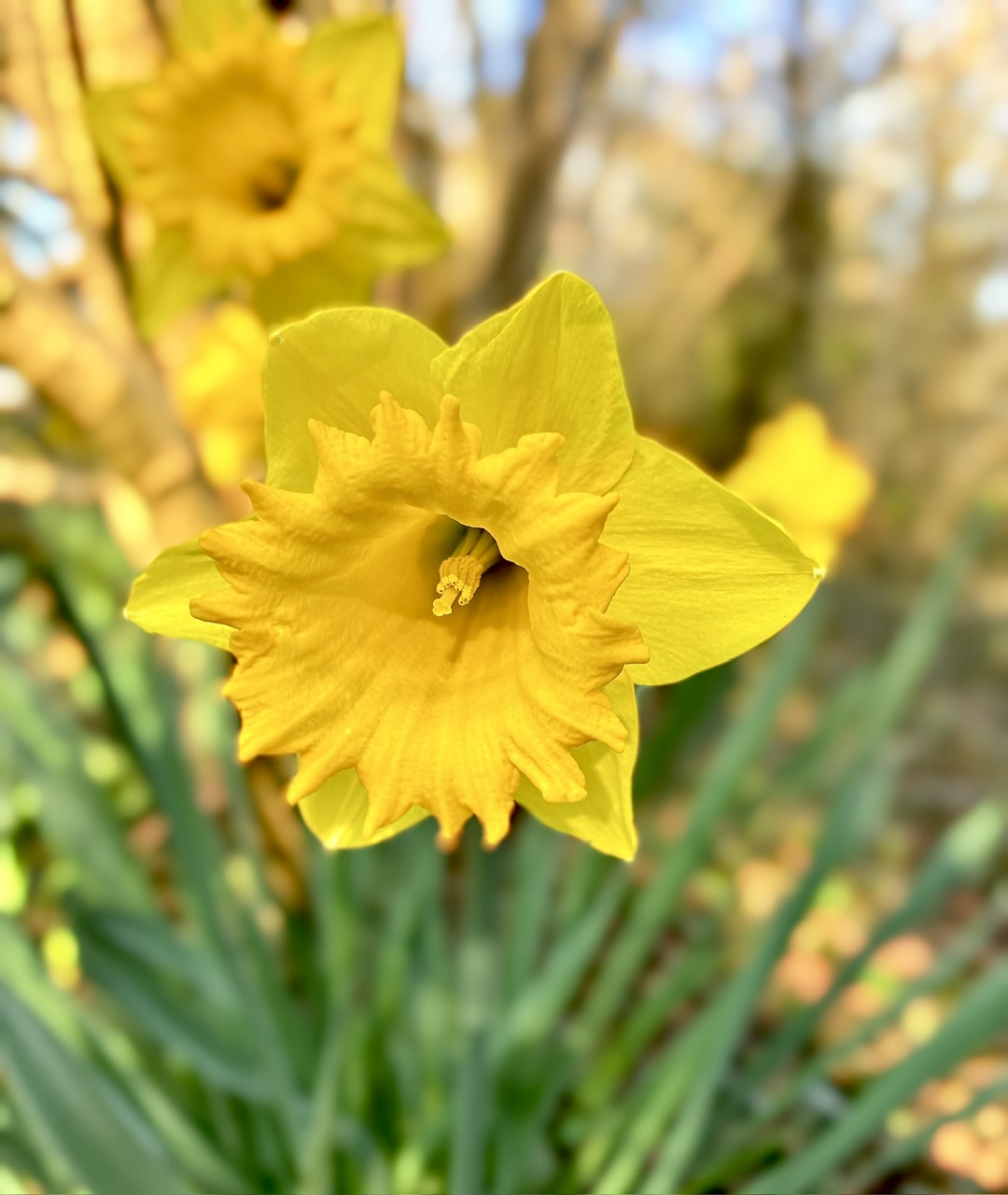 IMG_0450.jpeg