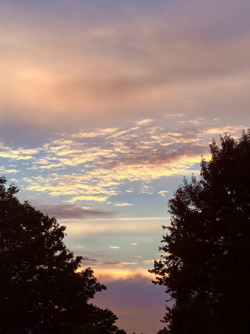 IMG_0488.jpeg