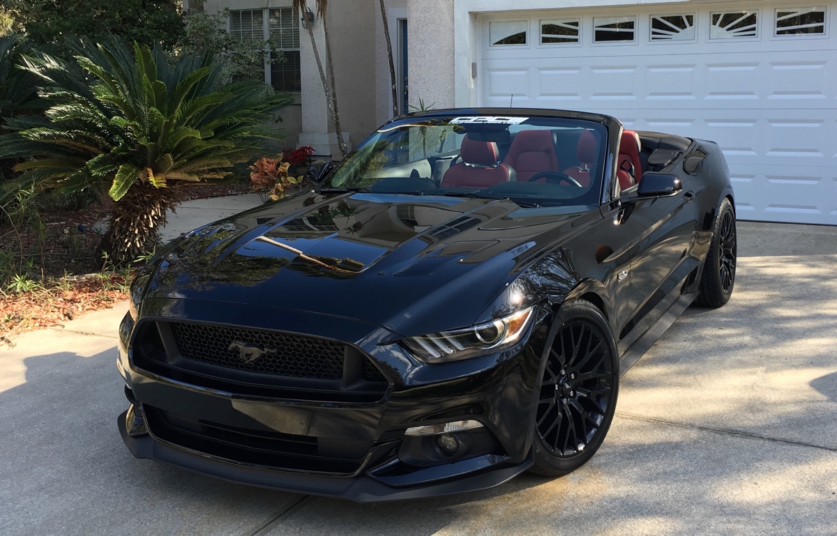 IMG_0490_REV2.jpg