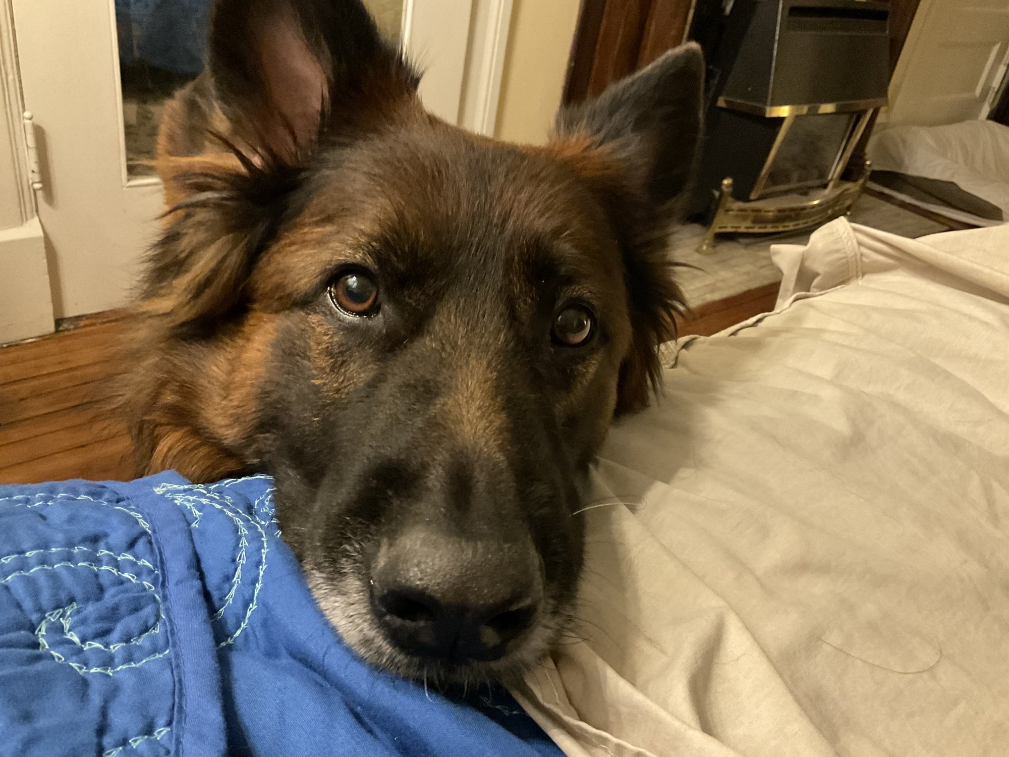 IMG_0497.jpeg