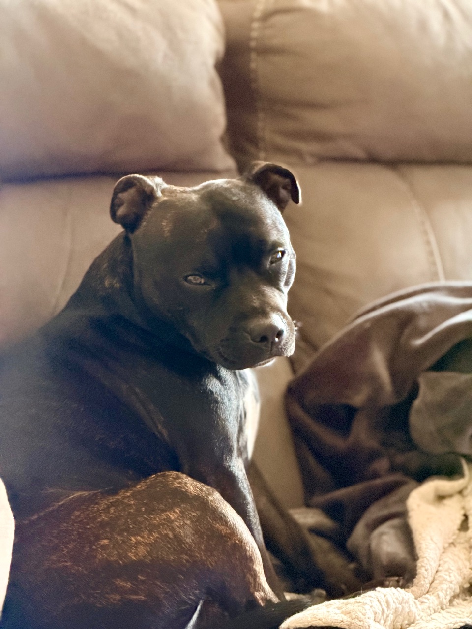 IMG_0504.jpeg