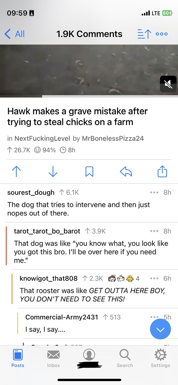 IMG_0539.jpeg