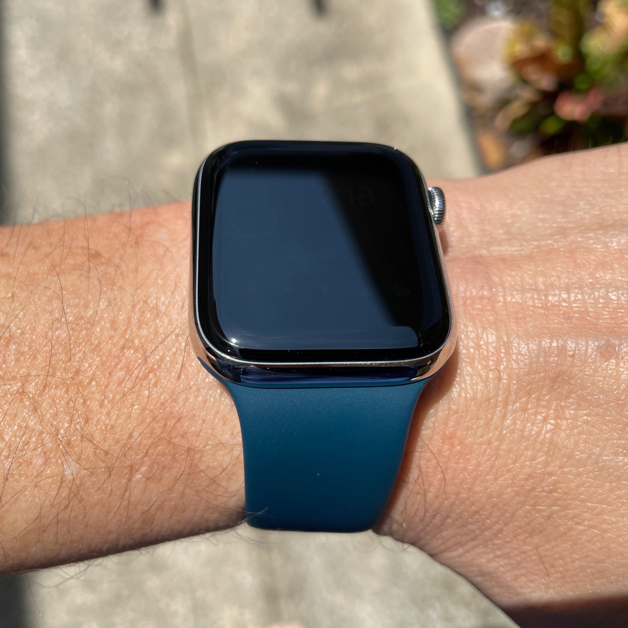 apple watch delft blue