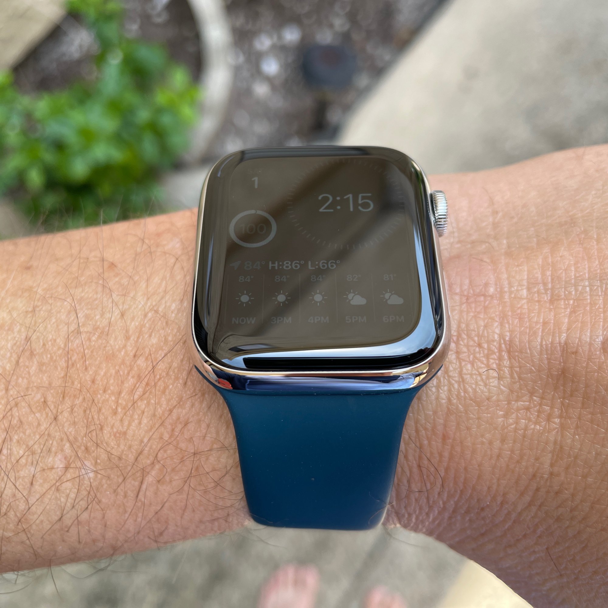 apple watch delft blue