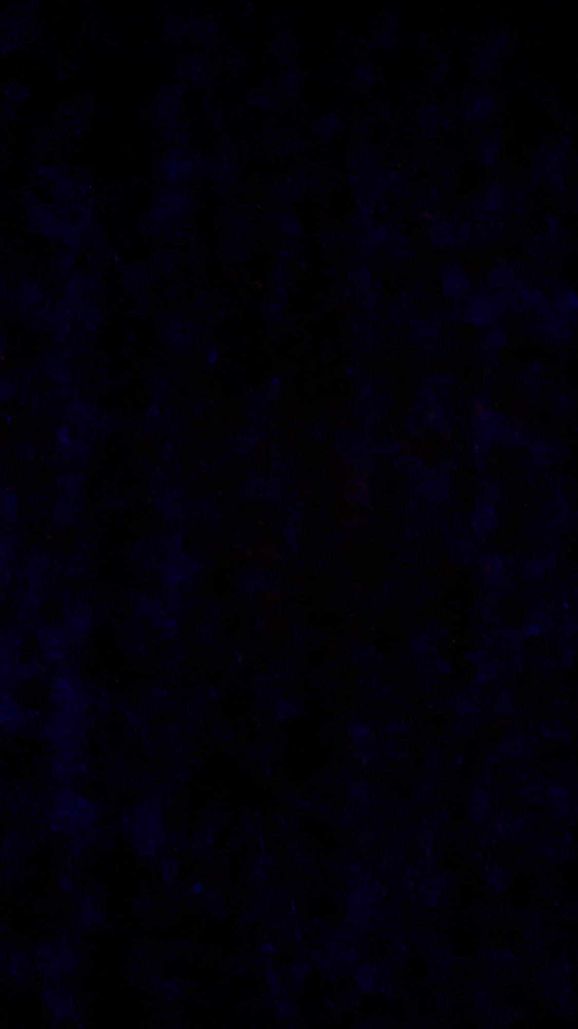 IMG_0656.jpeg