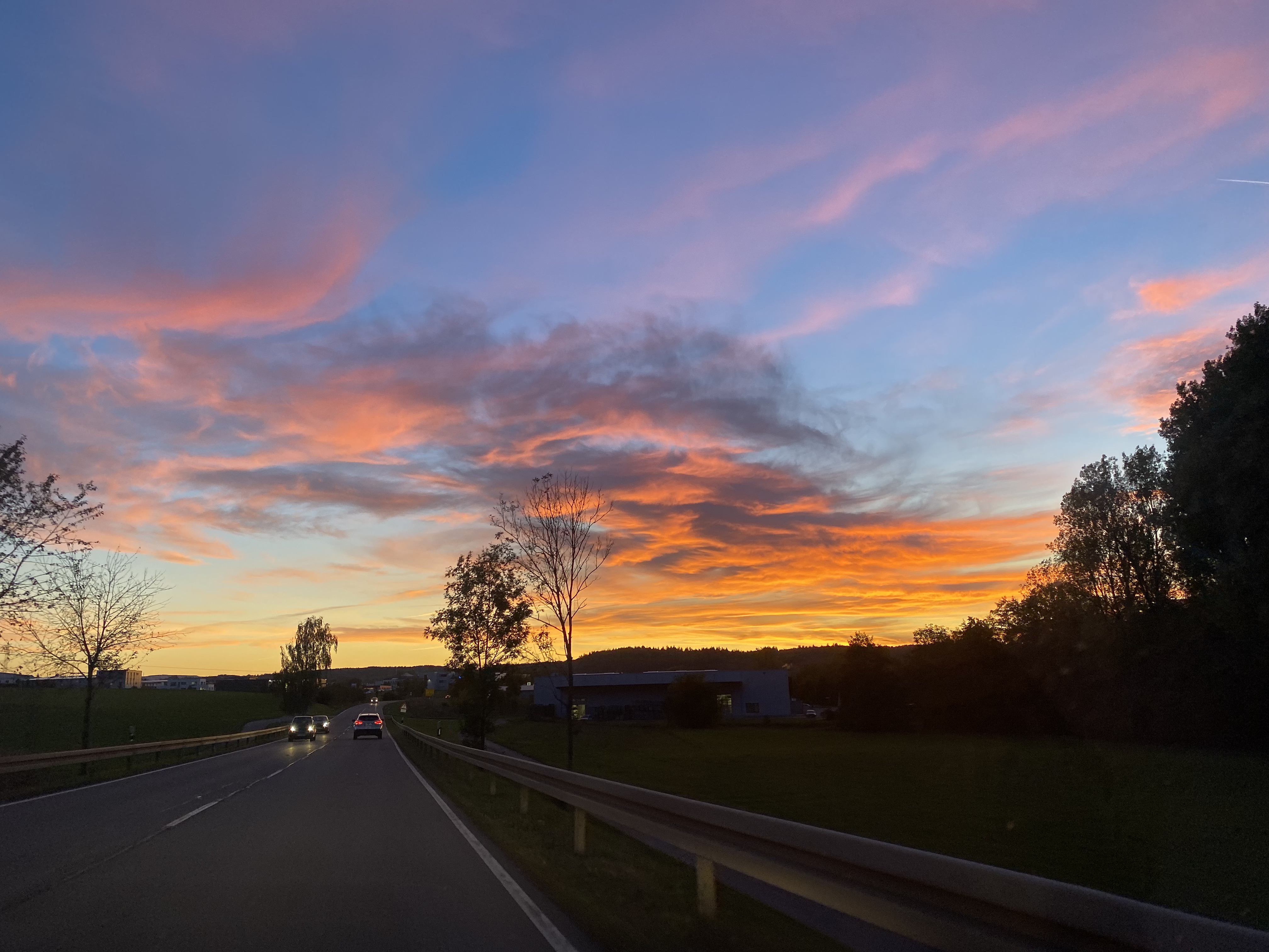 IMG_0706.jpeg