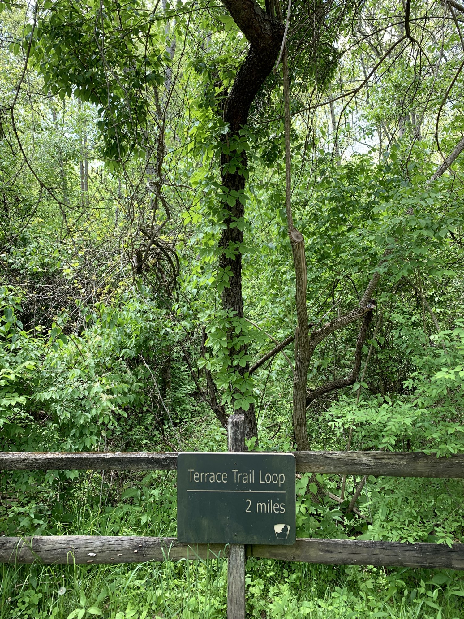 IMG_0750.jpeg