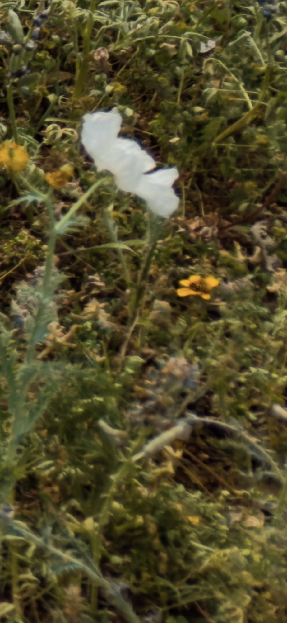 IMG_0798.png