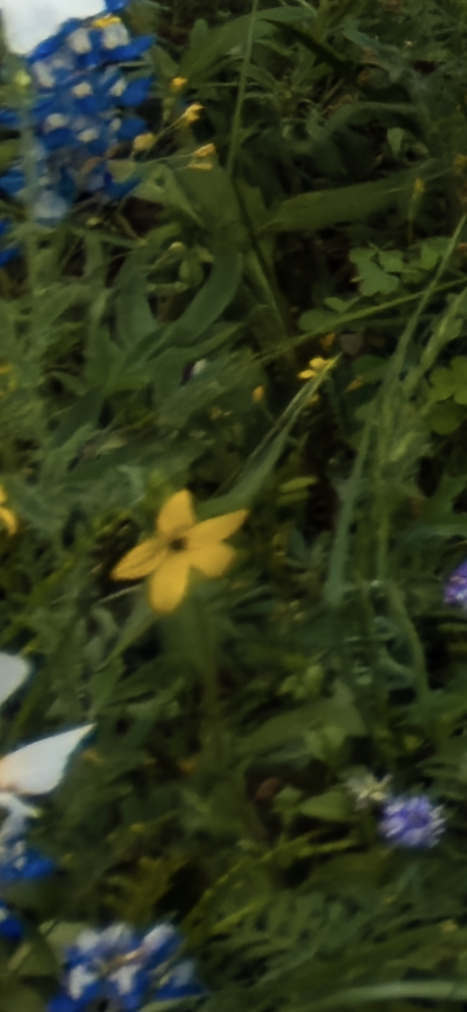 IMG_0799.png