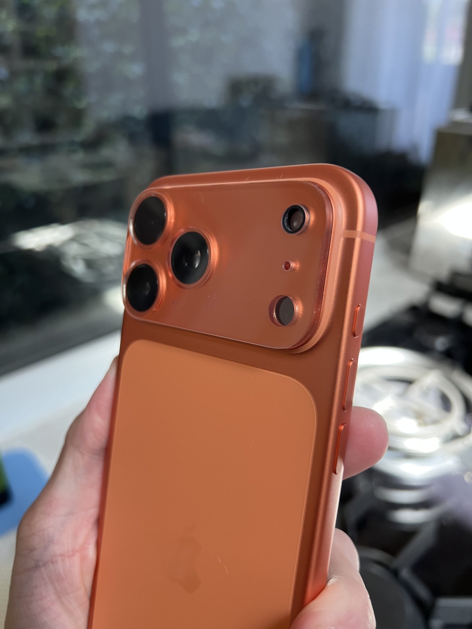 IMG_0803.jpeg