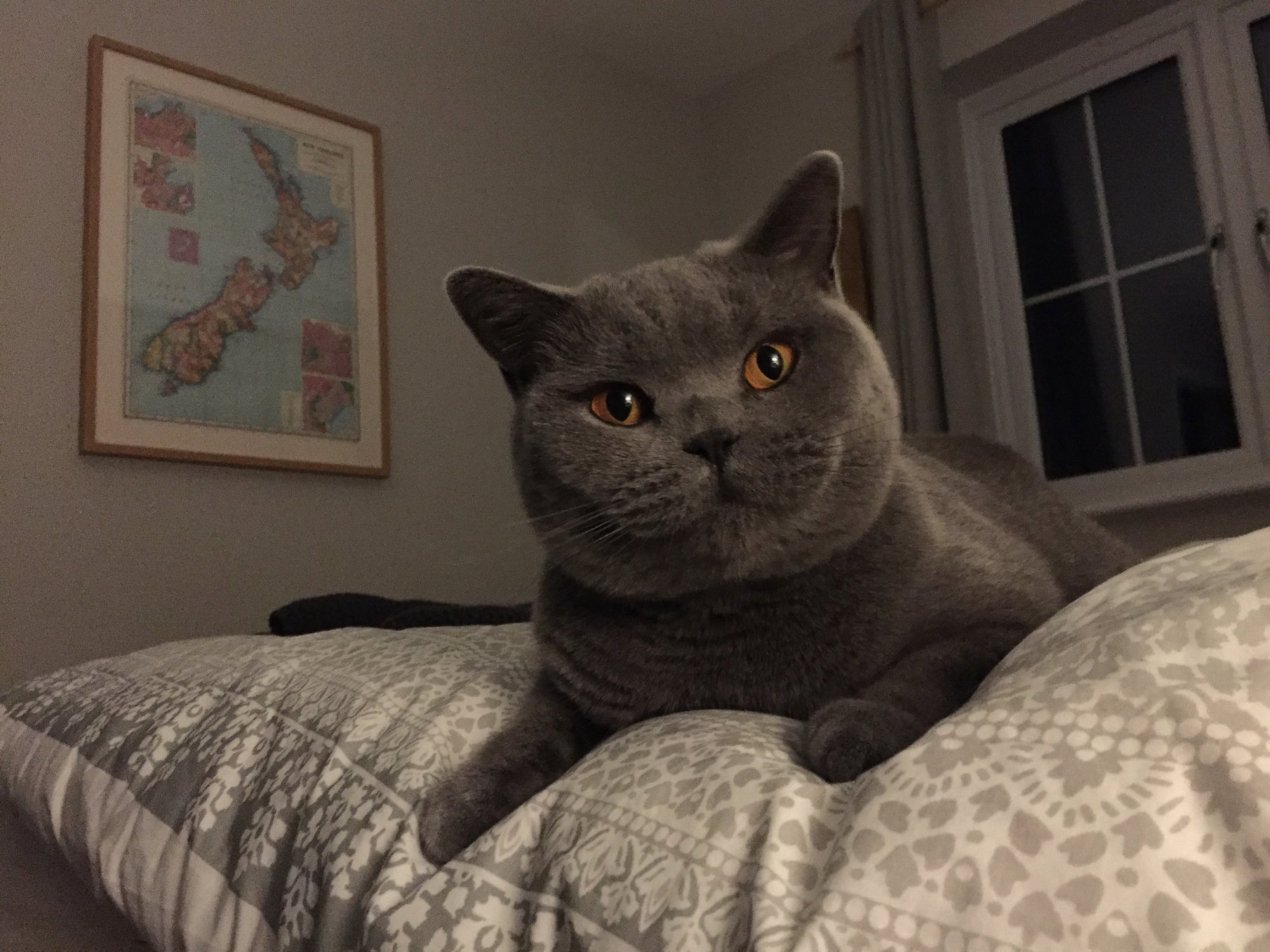 IMG_0823.jpeg