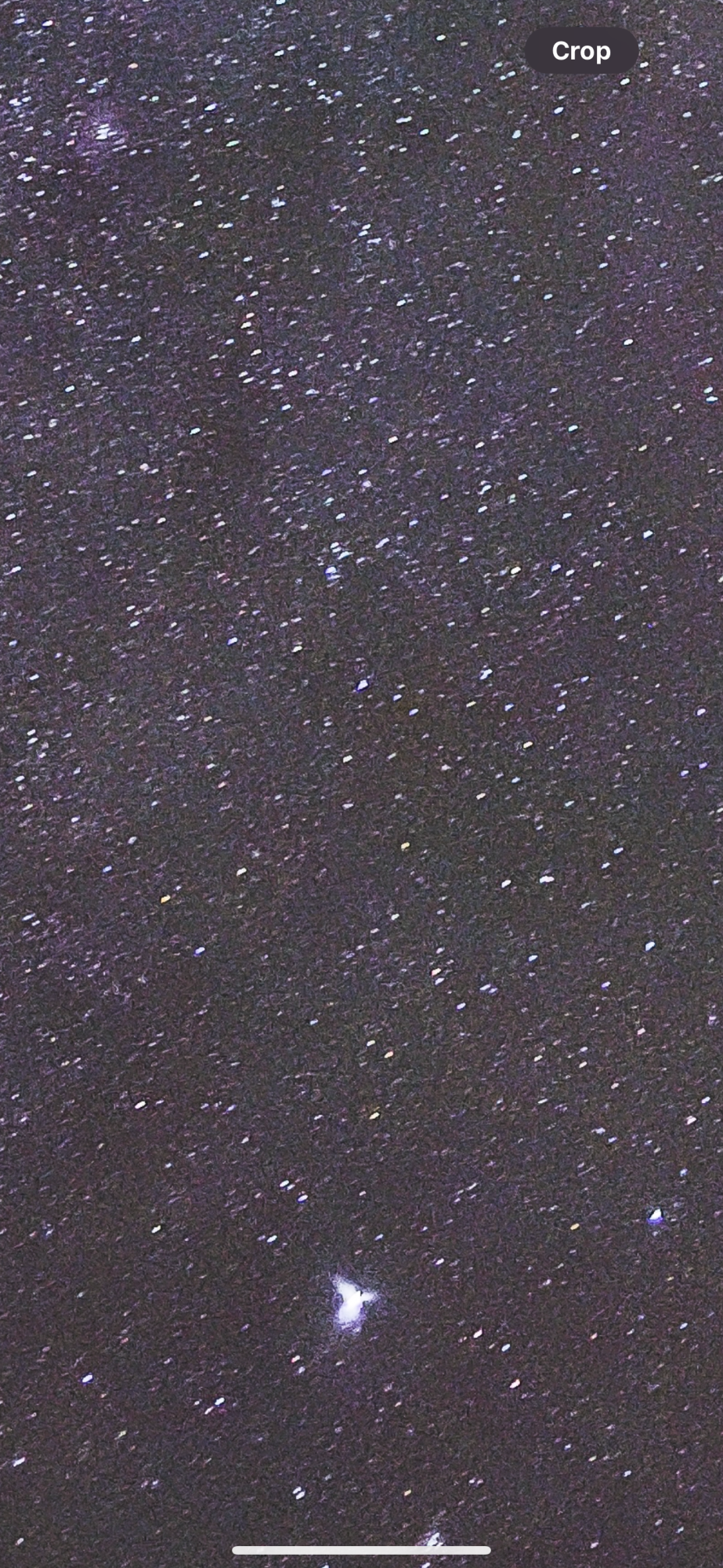 IMG_0863.png