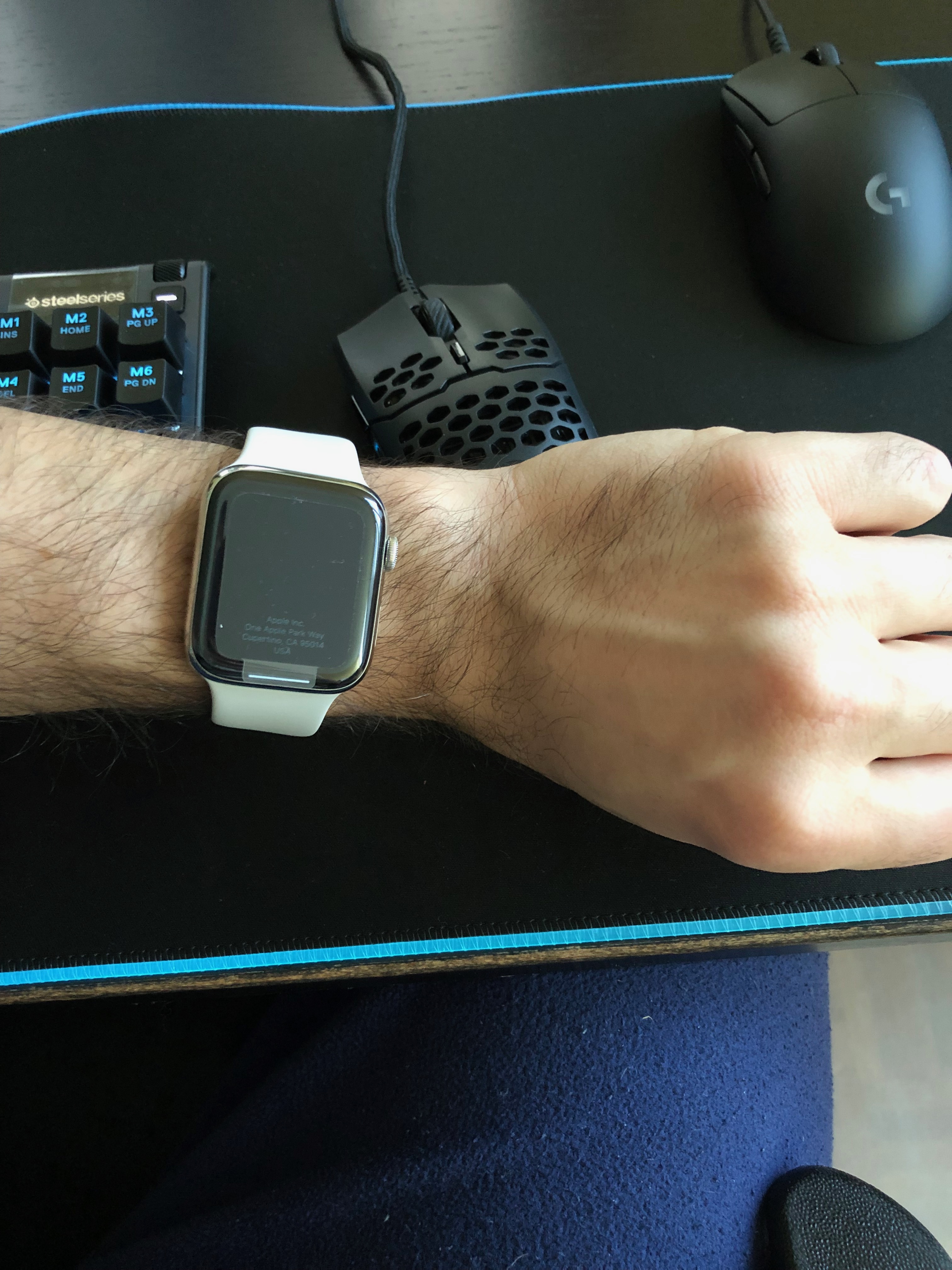 apple watch 44mm size on wrist