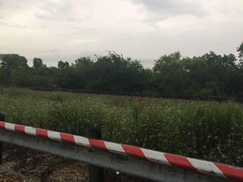 IMG_0908.jpeg
