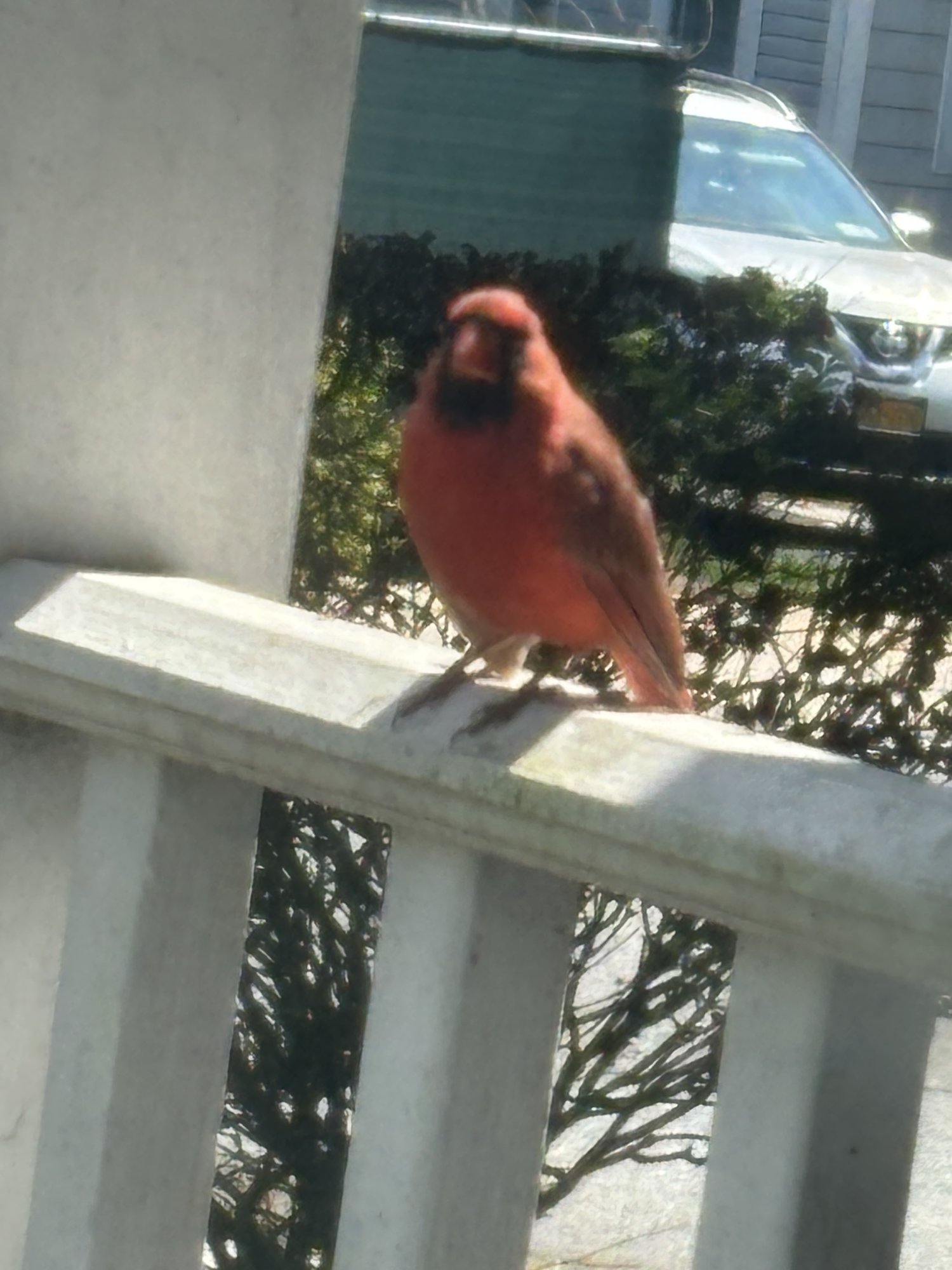IMG_0941.jpeg