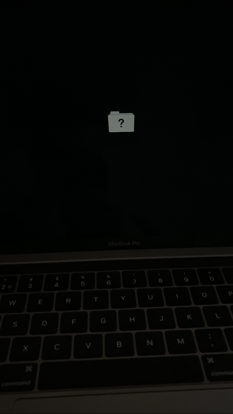 Macbook Pro Won T Start After Big Sur Beta Macrumors Forums