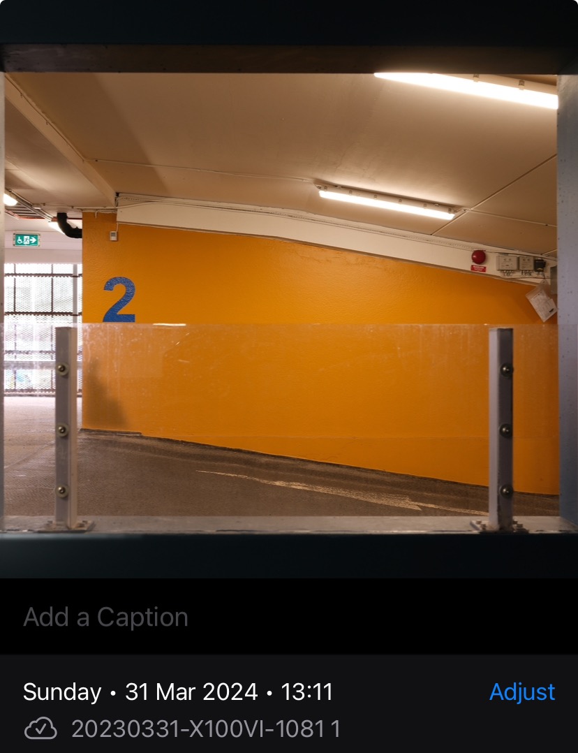 IMG_0981.jpeg