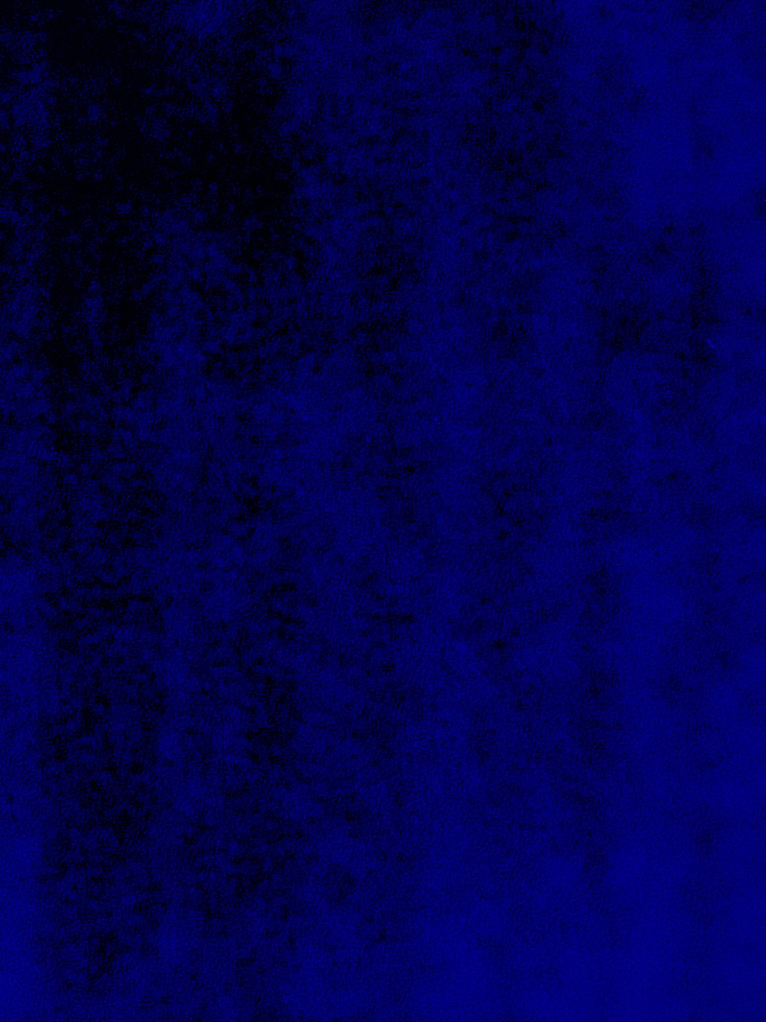 IMG_1006.jpeg