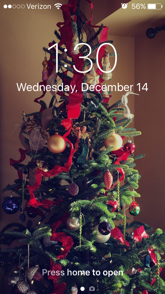 IMG_1186.PNG